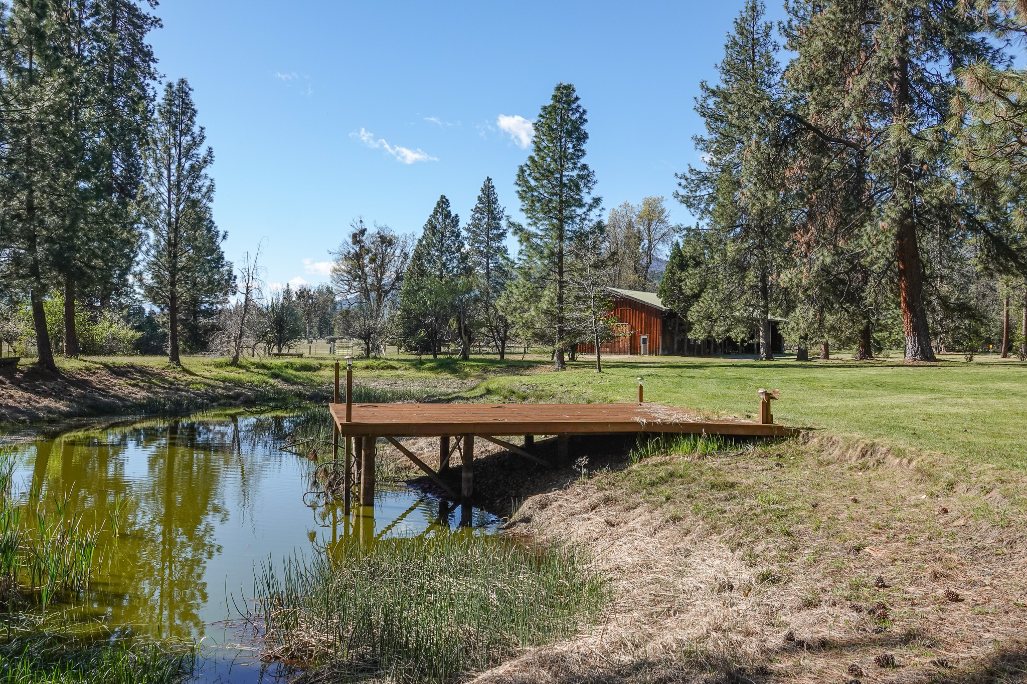 Listing Image 34