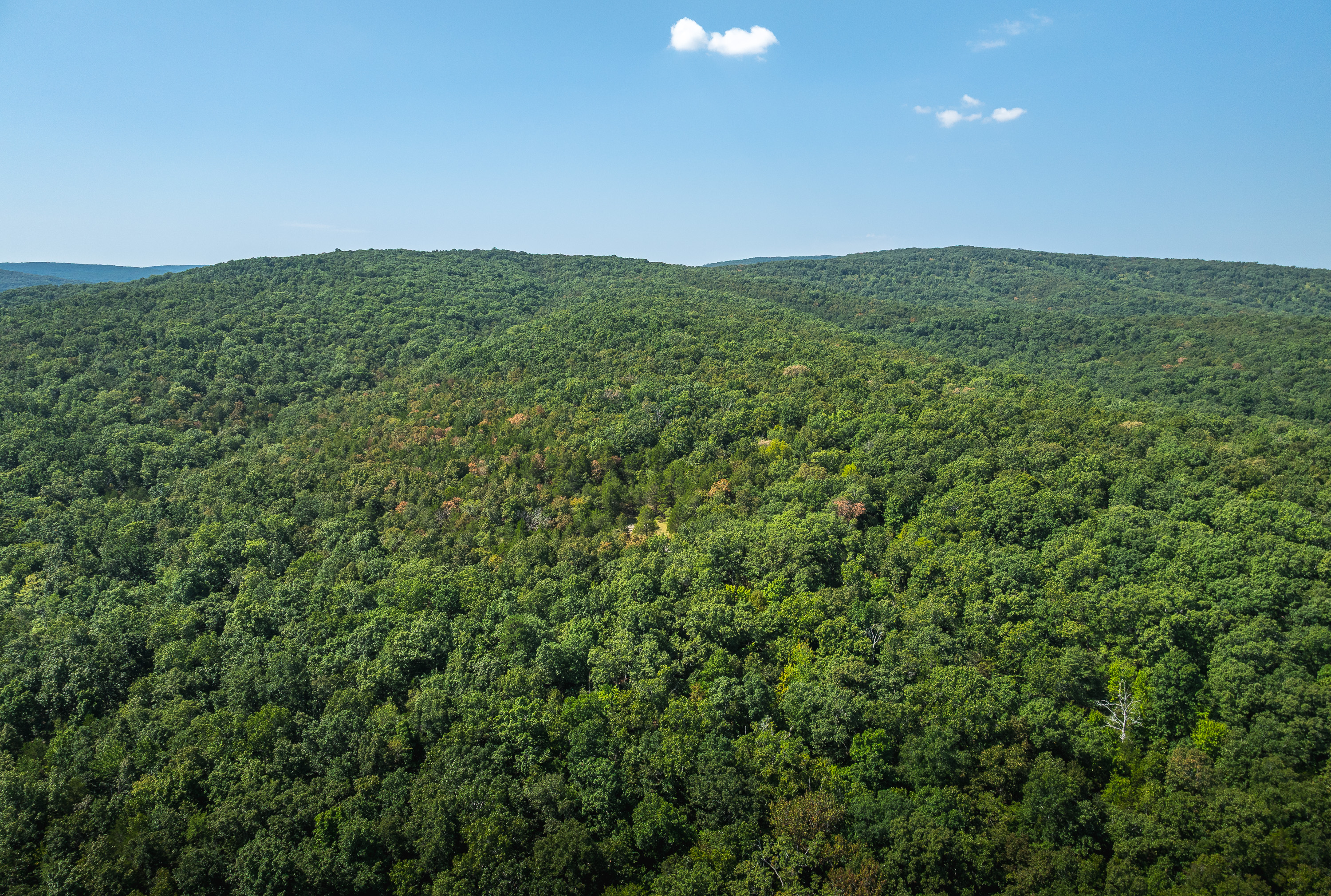 420 Acre Farm on Stouts Creek