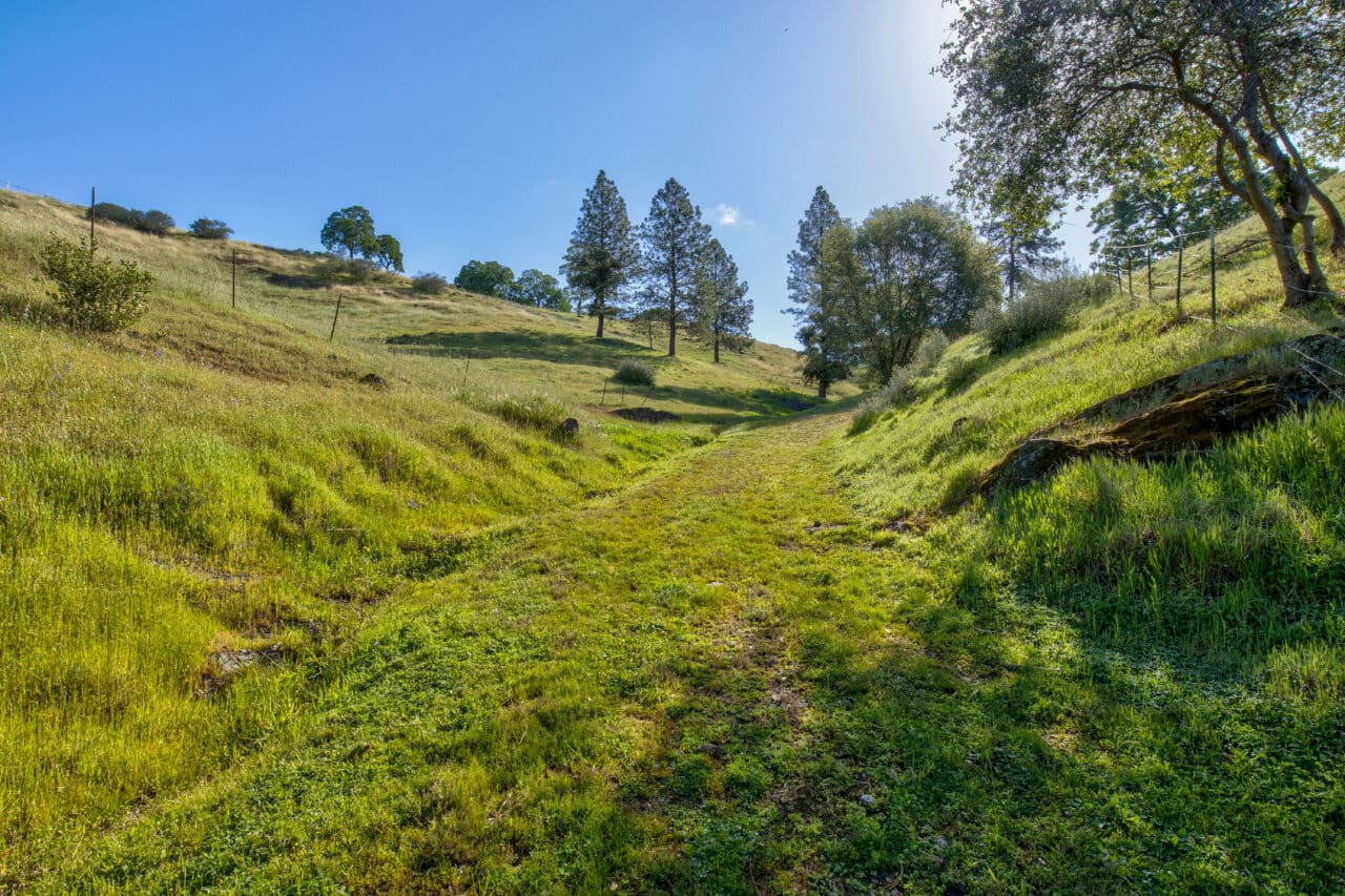 Trembath Mountain Vista