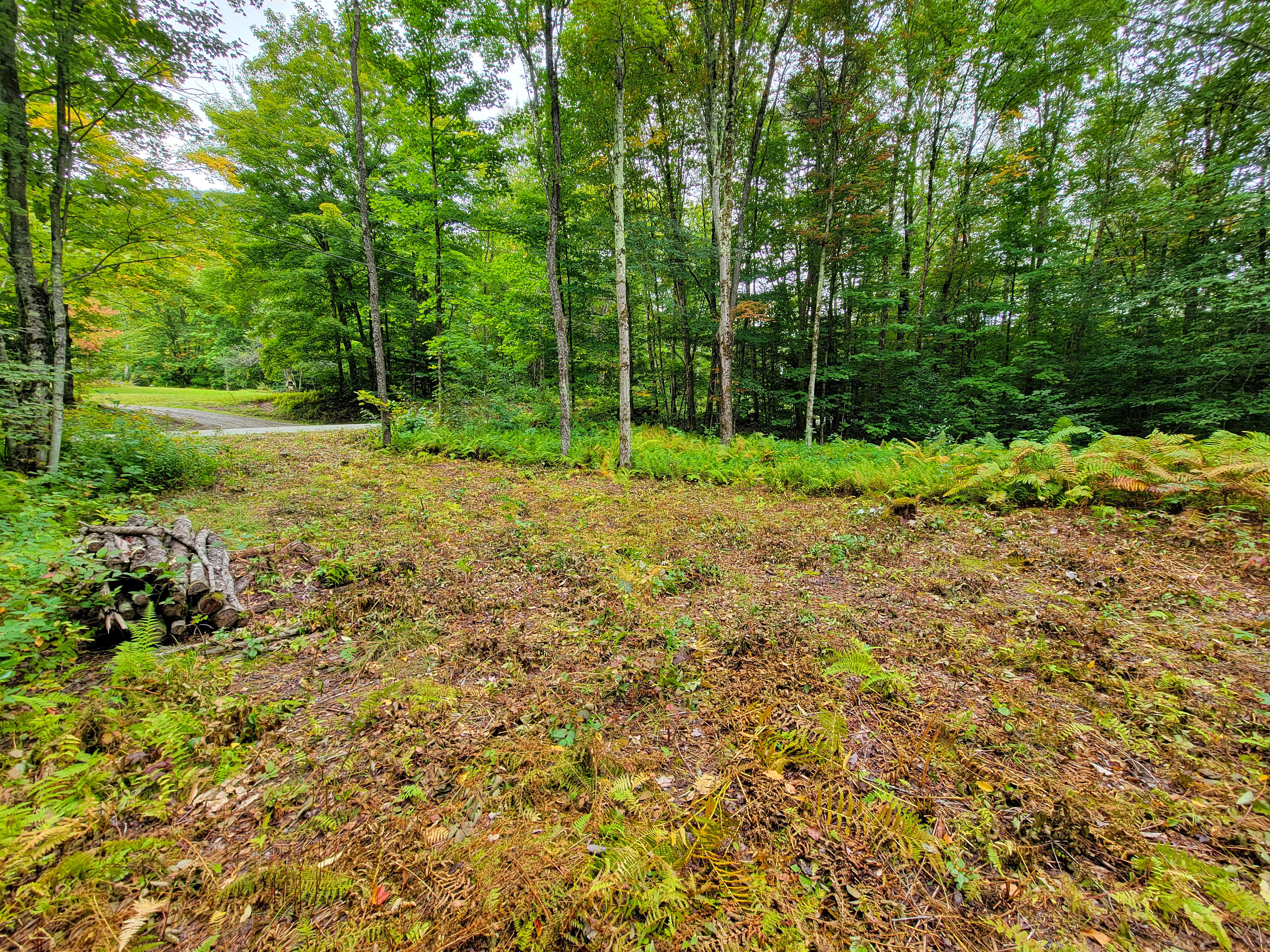 Listing Image 56