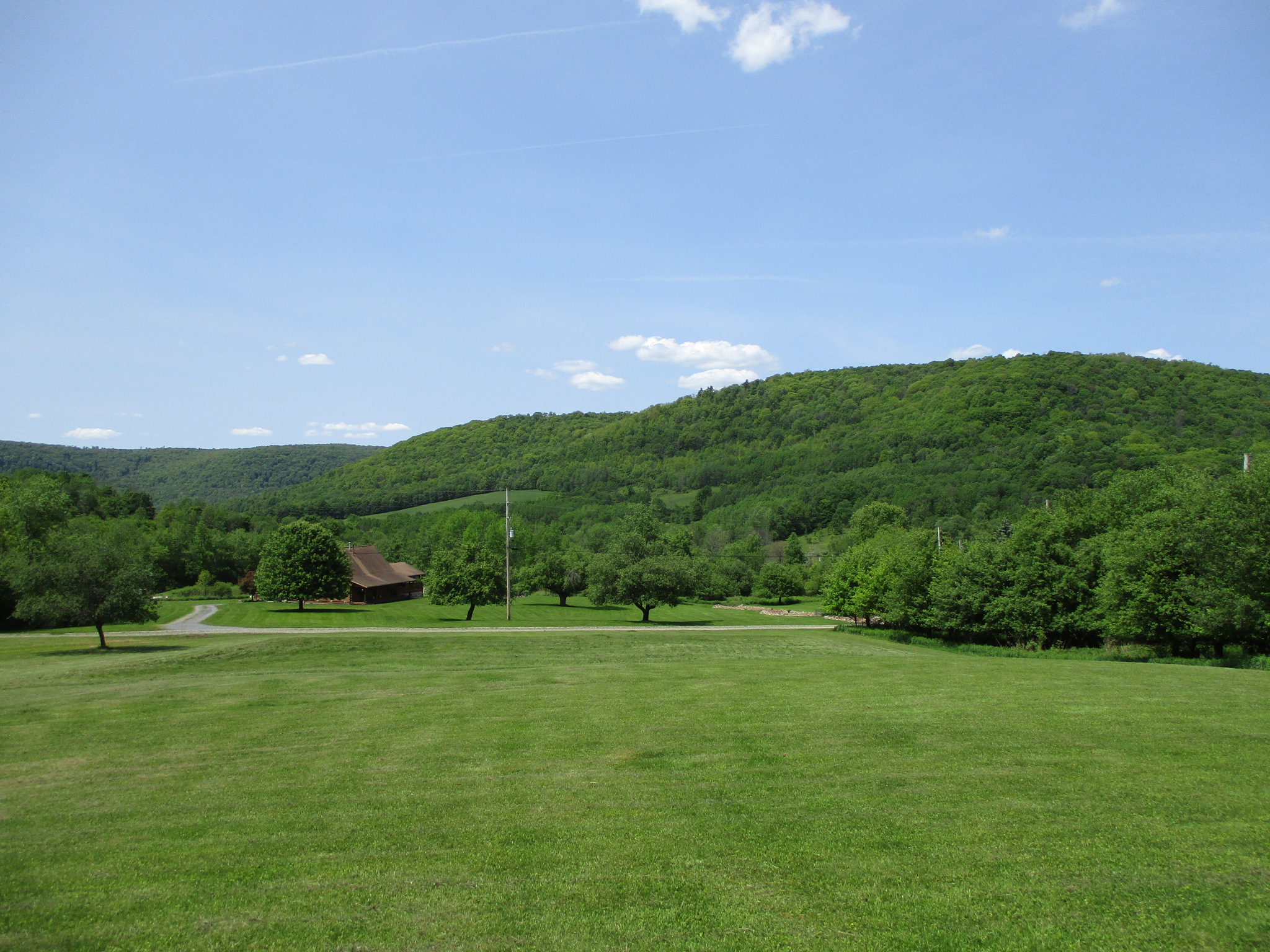 Dogwood Mountain View Home