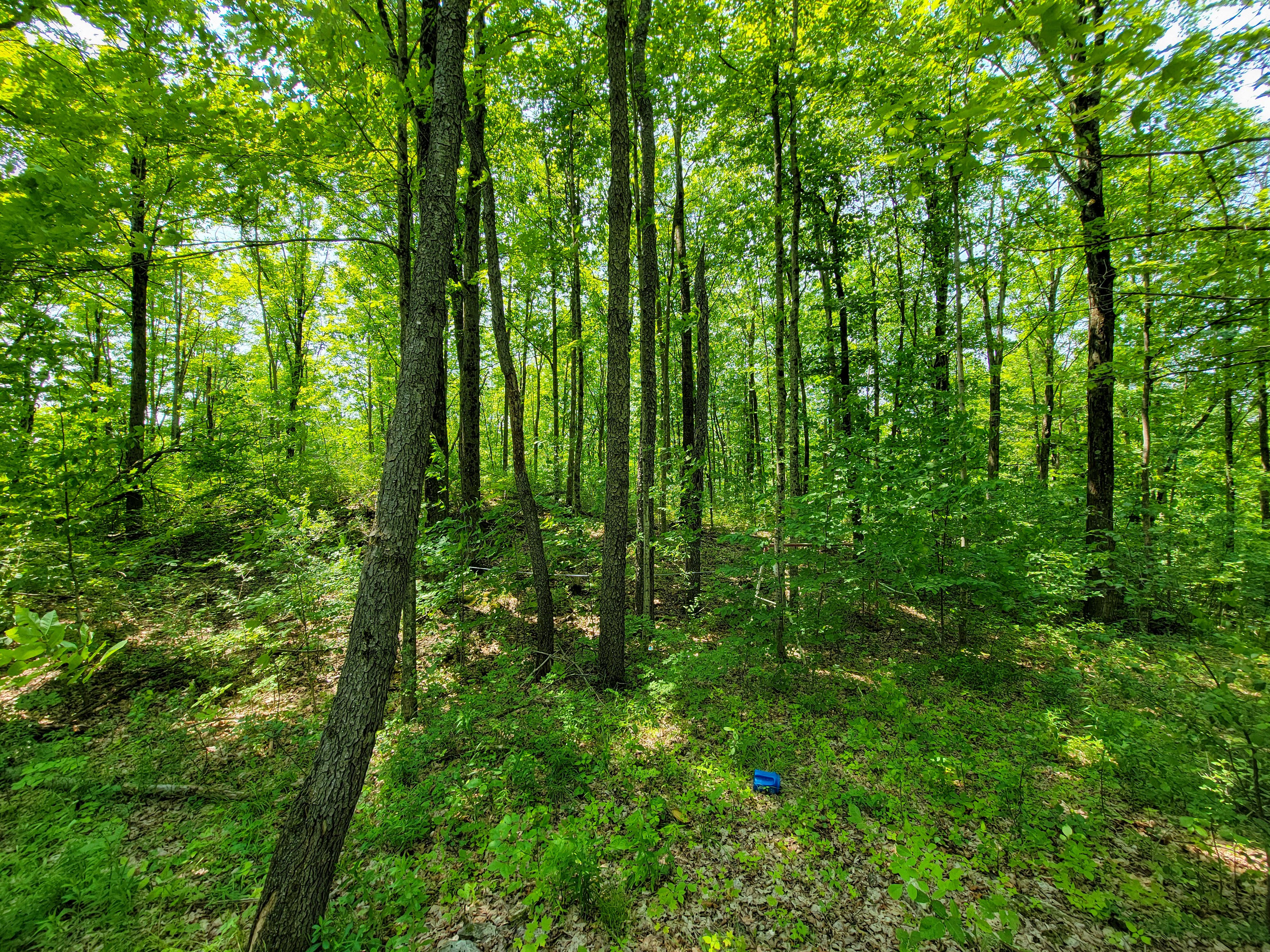 21 Nickerson Rd - Brandon