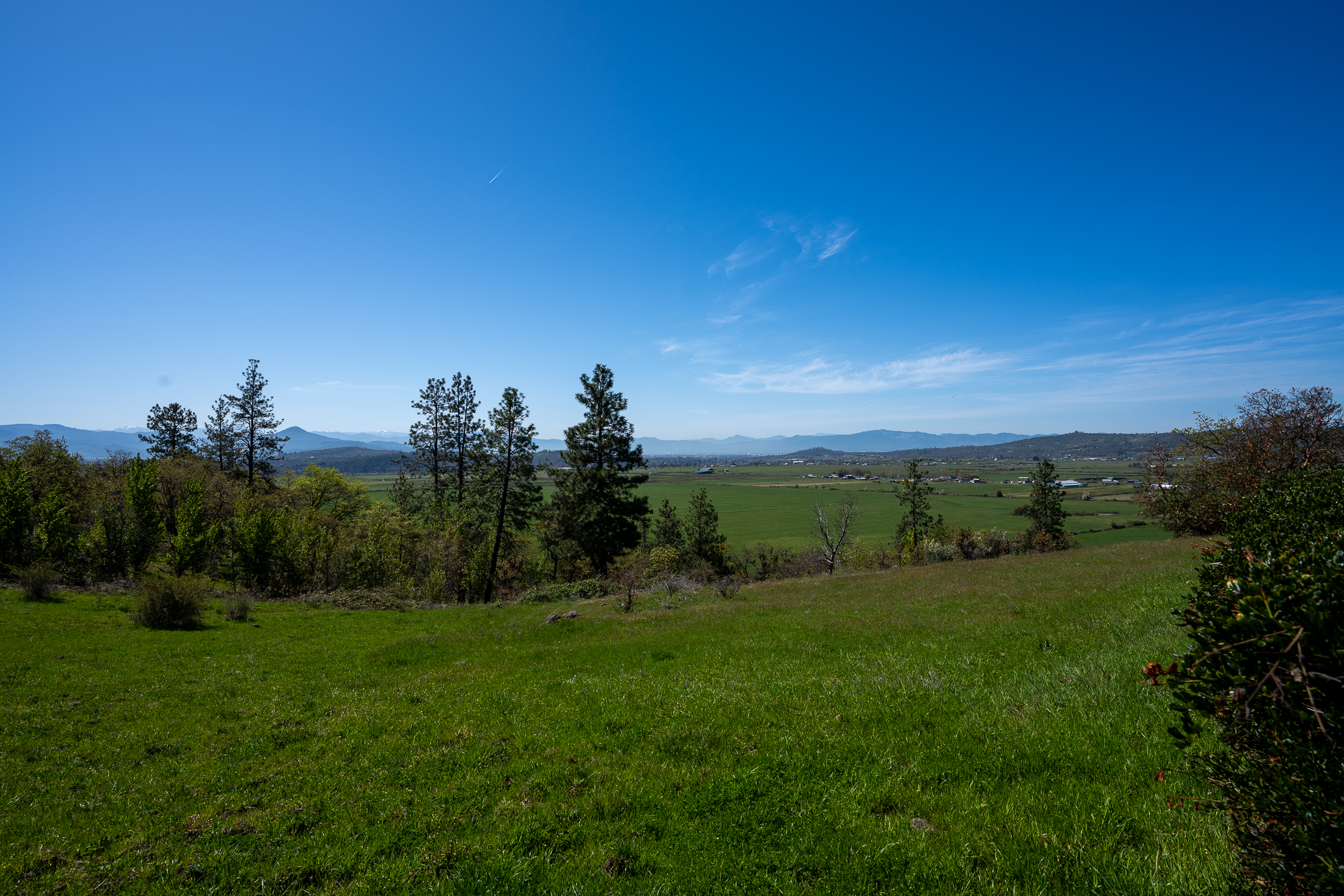 Listing Image 96