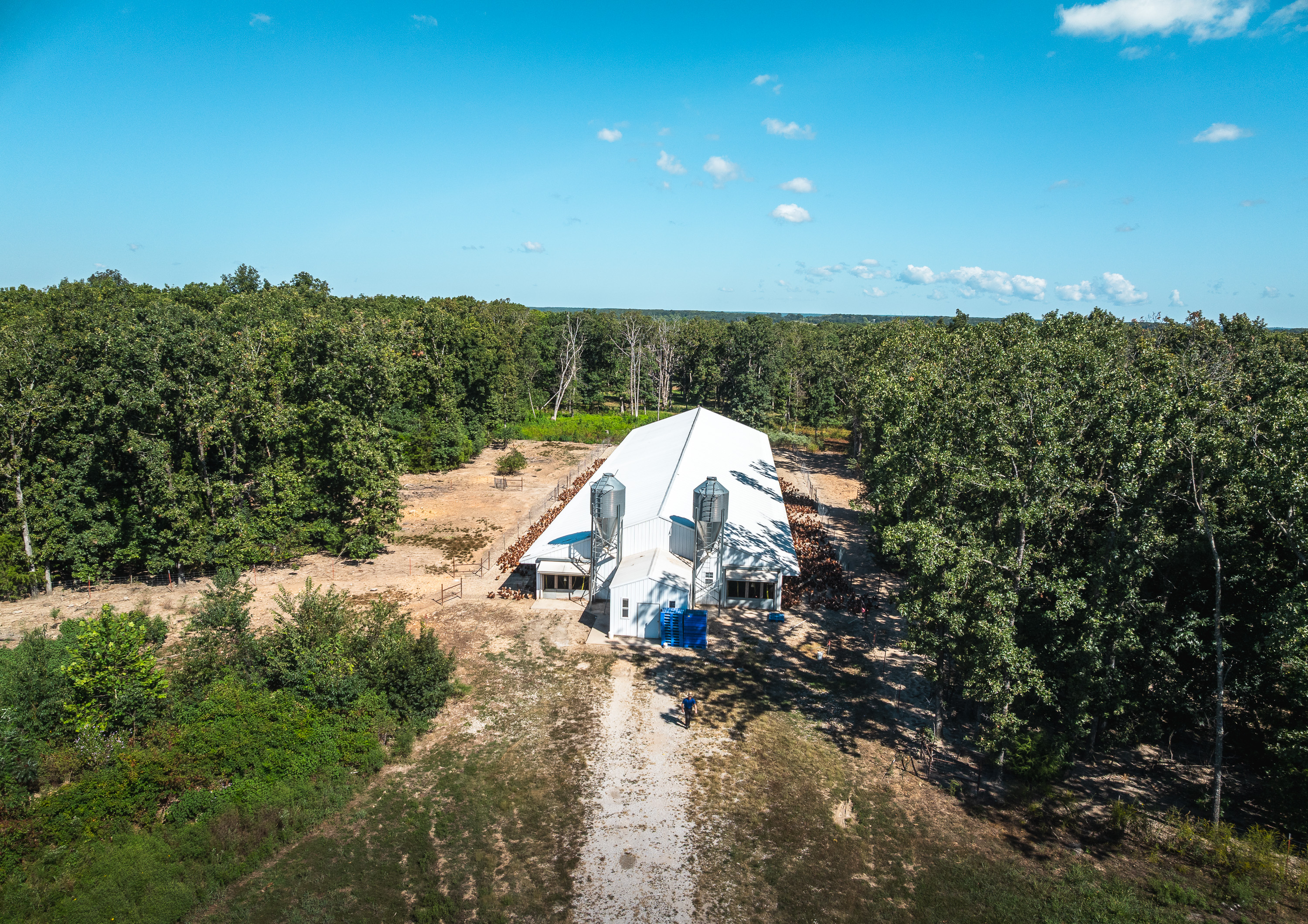 Cage Free Chicken Farm