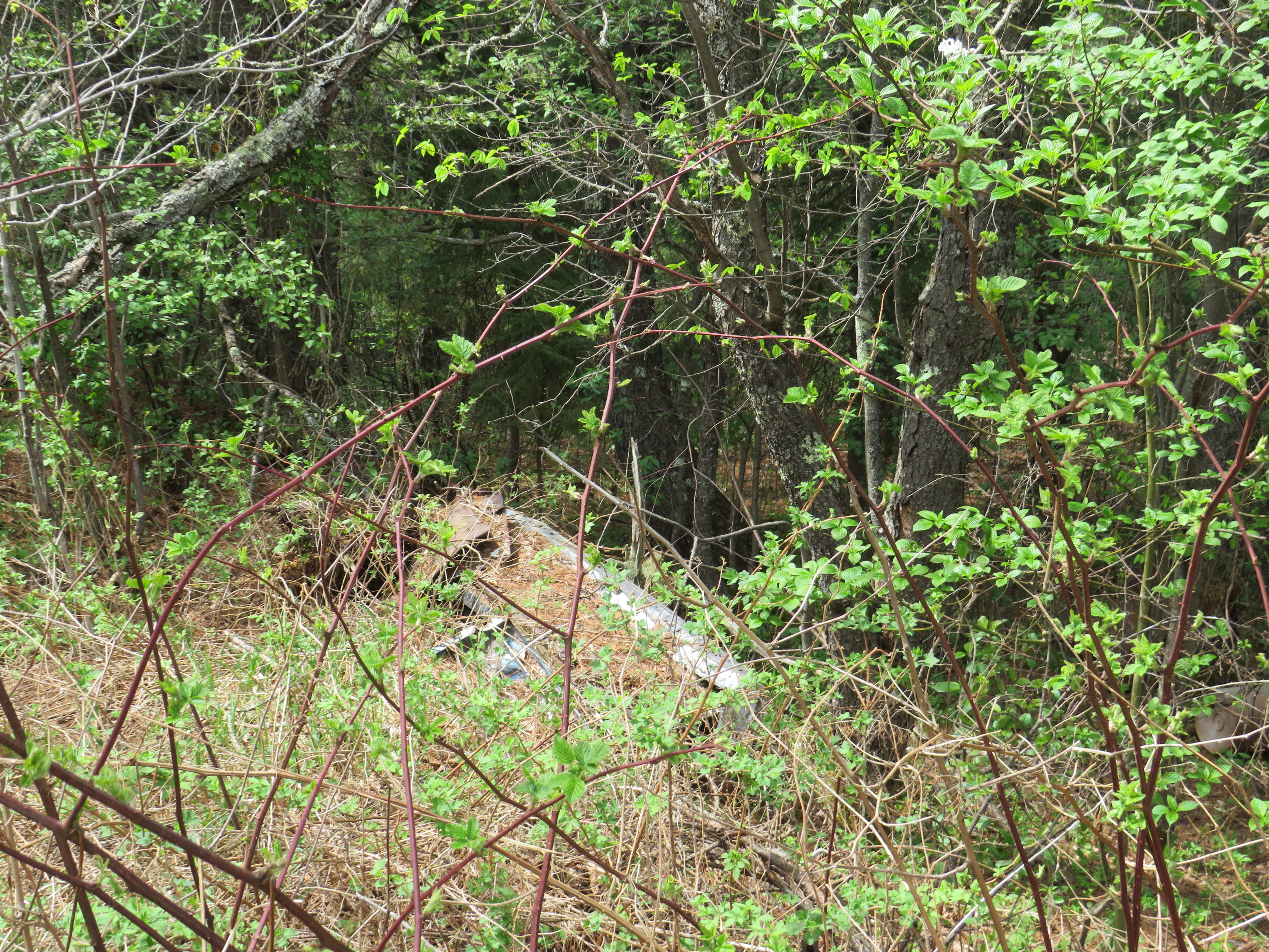 160 Acre Wilderness Retreat 50175391