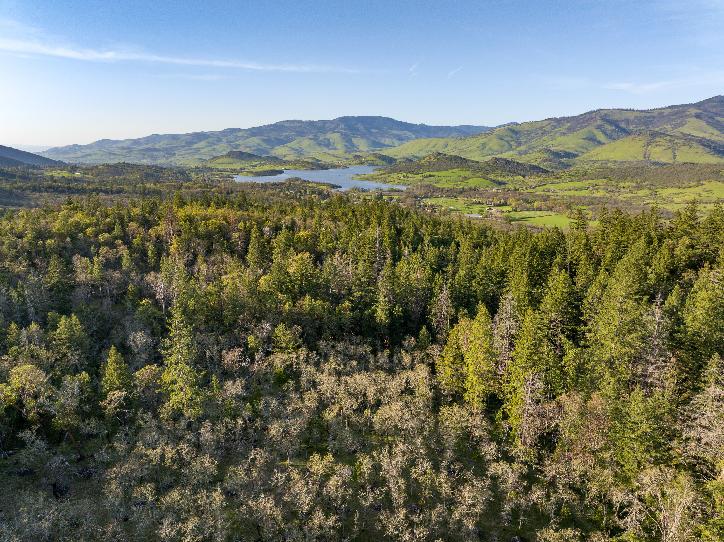 1694 Old Siskiyou Hwy