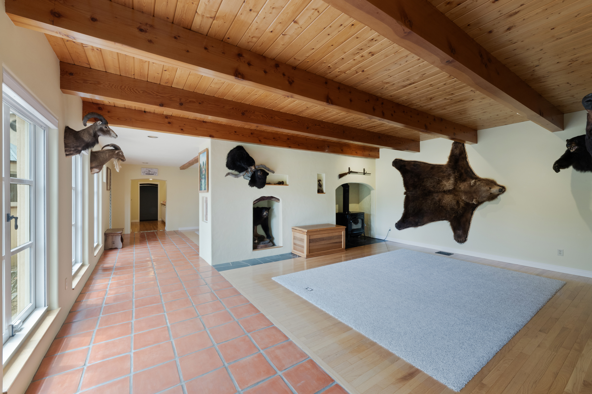 Listing Image 49