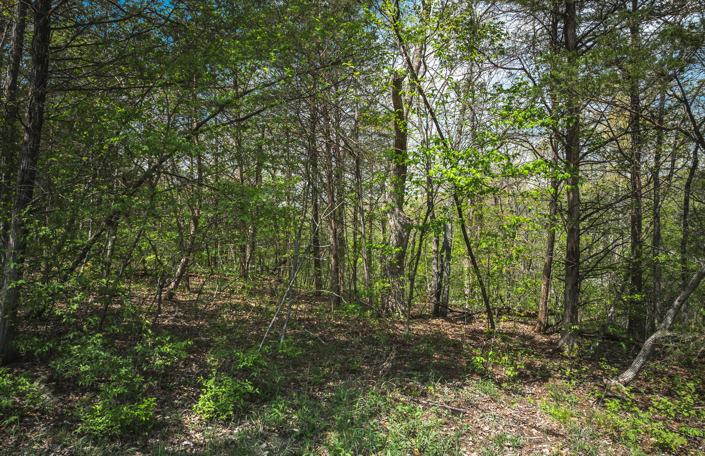 Hawkwood Trail