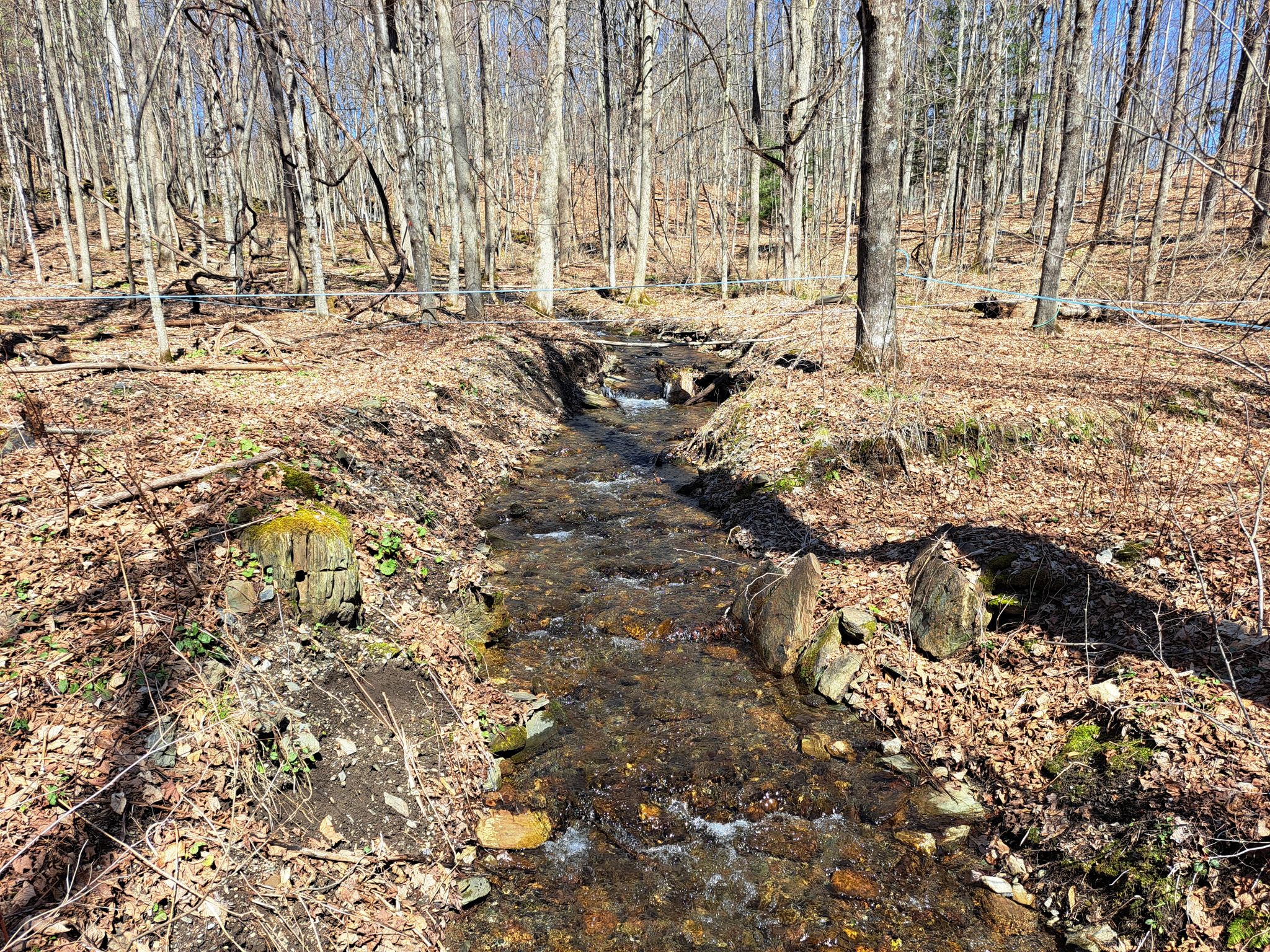 Listing Image 32