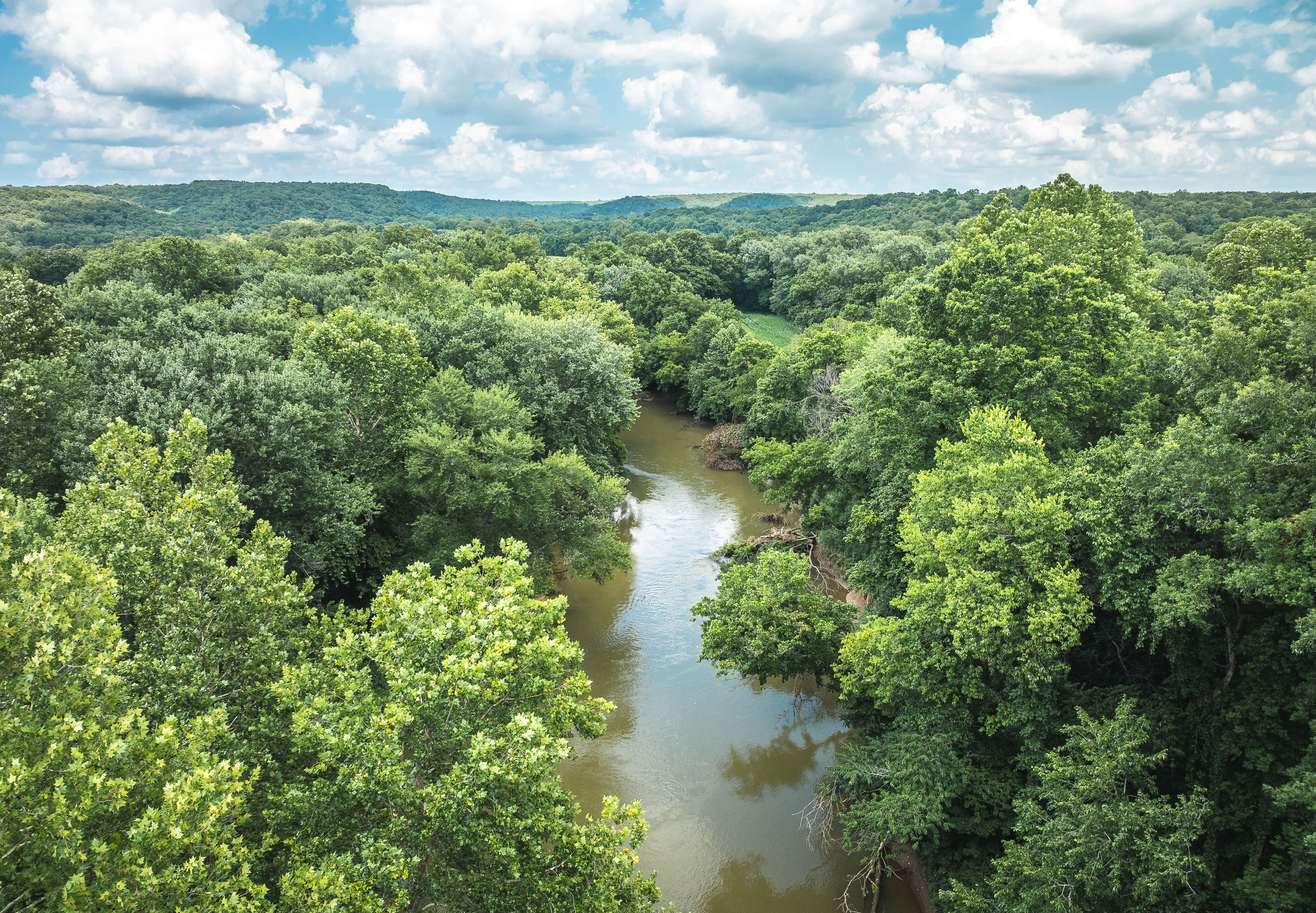 Gasconade Angus Ranch
