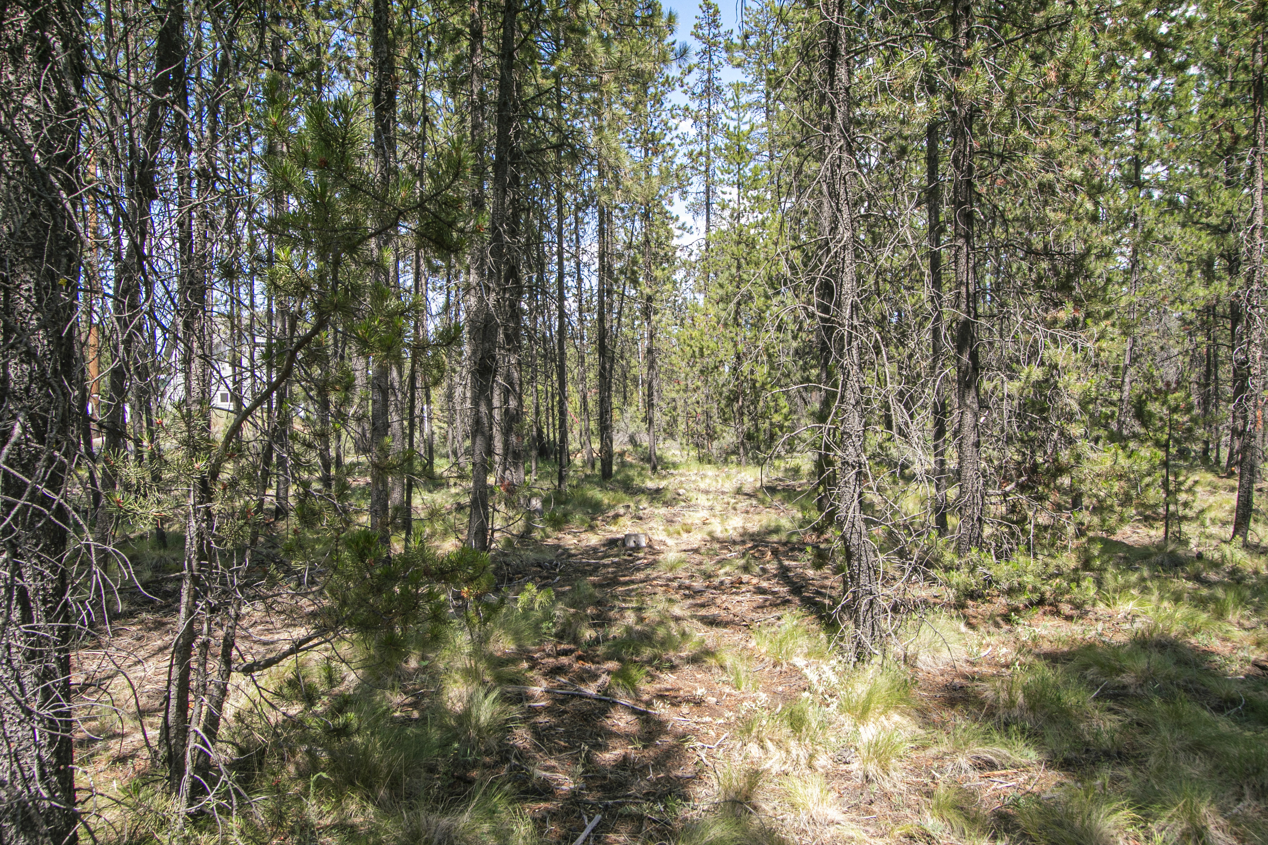 16927 Upland Rd – A Recreational Canvas in the Heart of Central Oregon