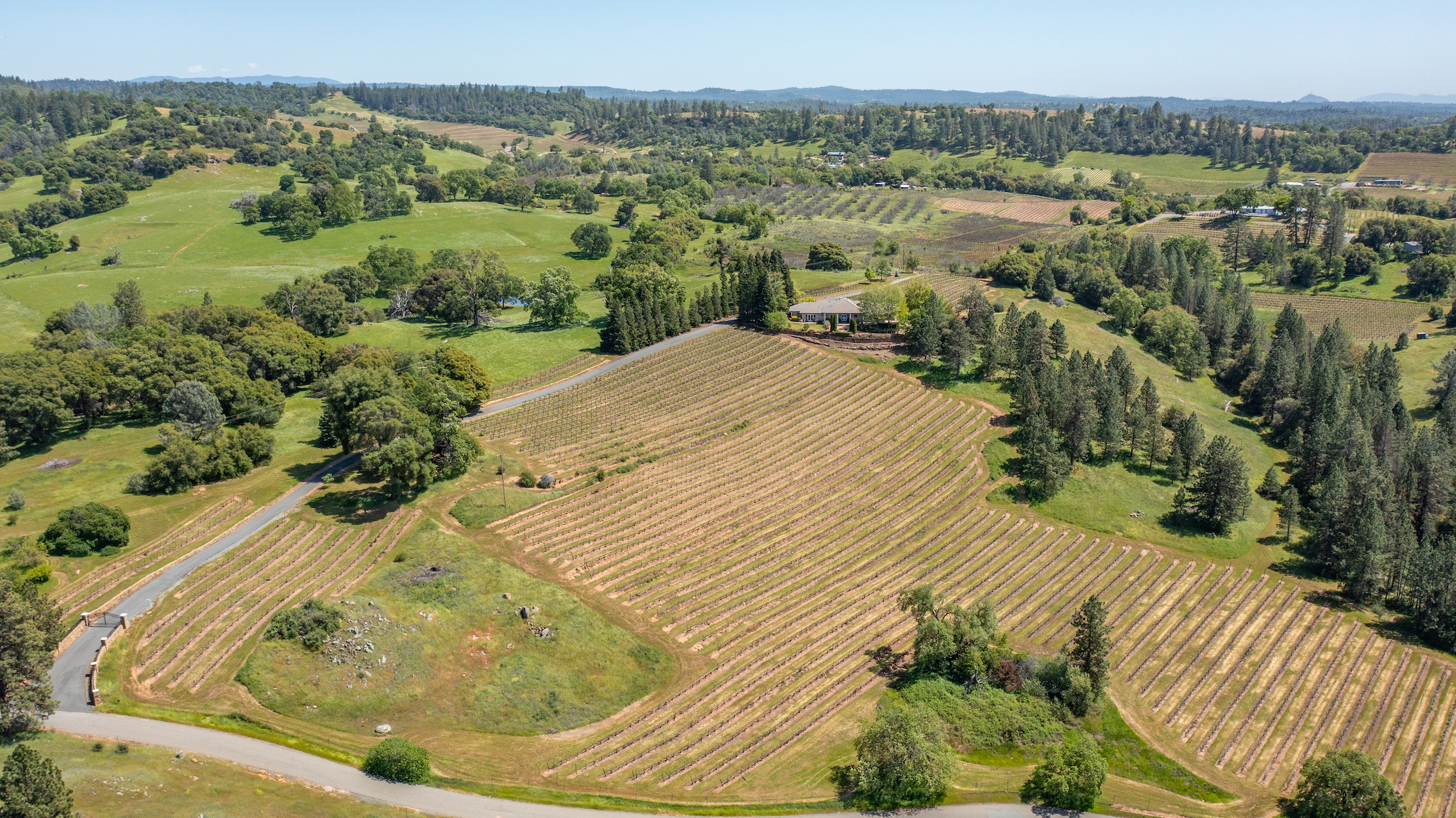 Listing Image 86