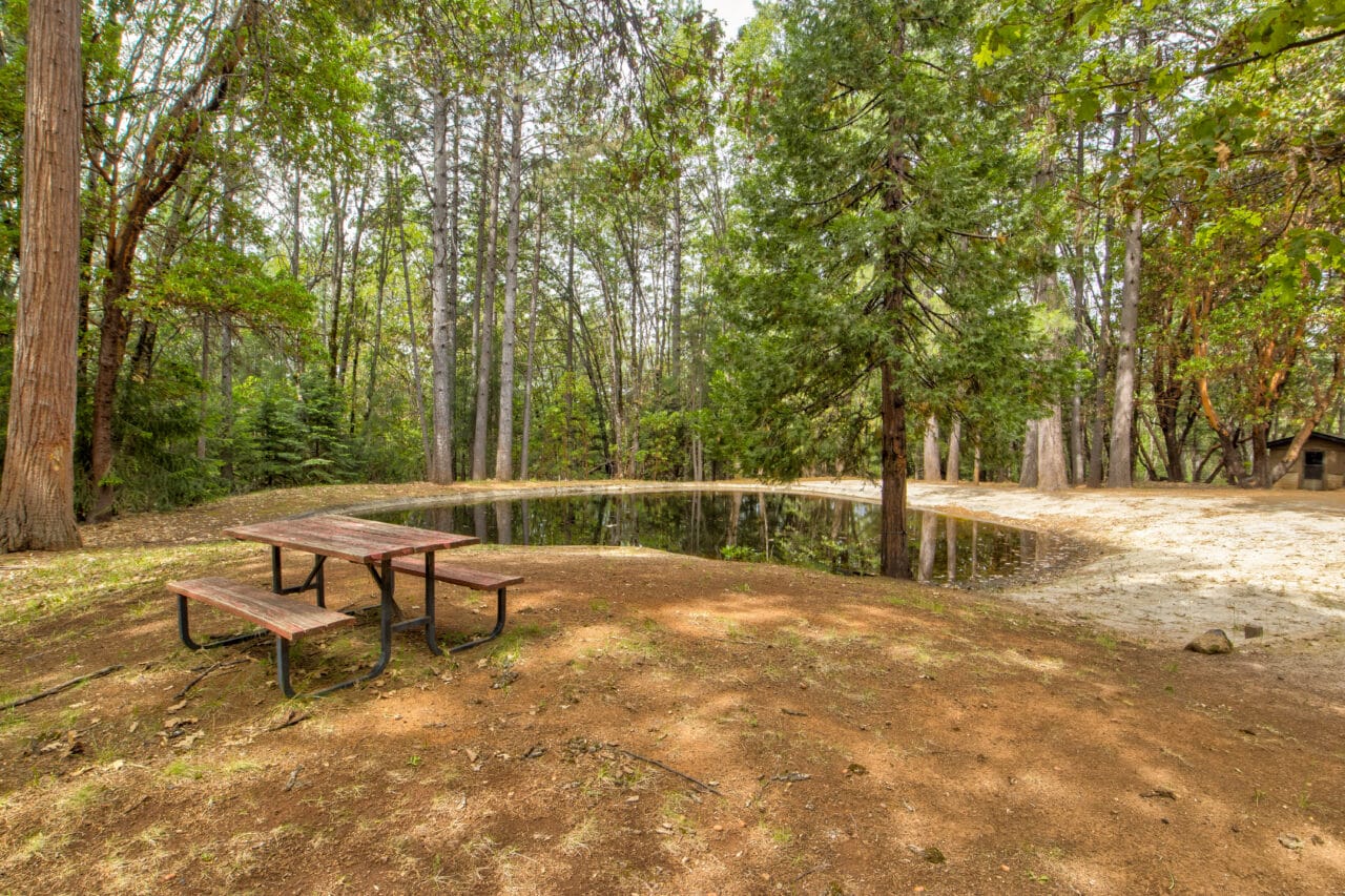Foresthill Divide