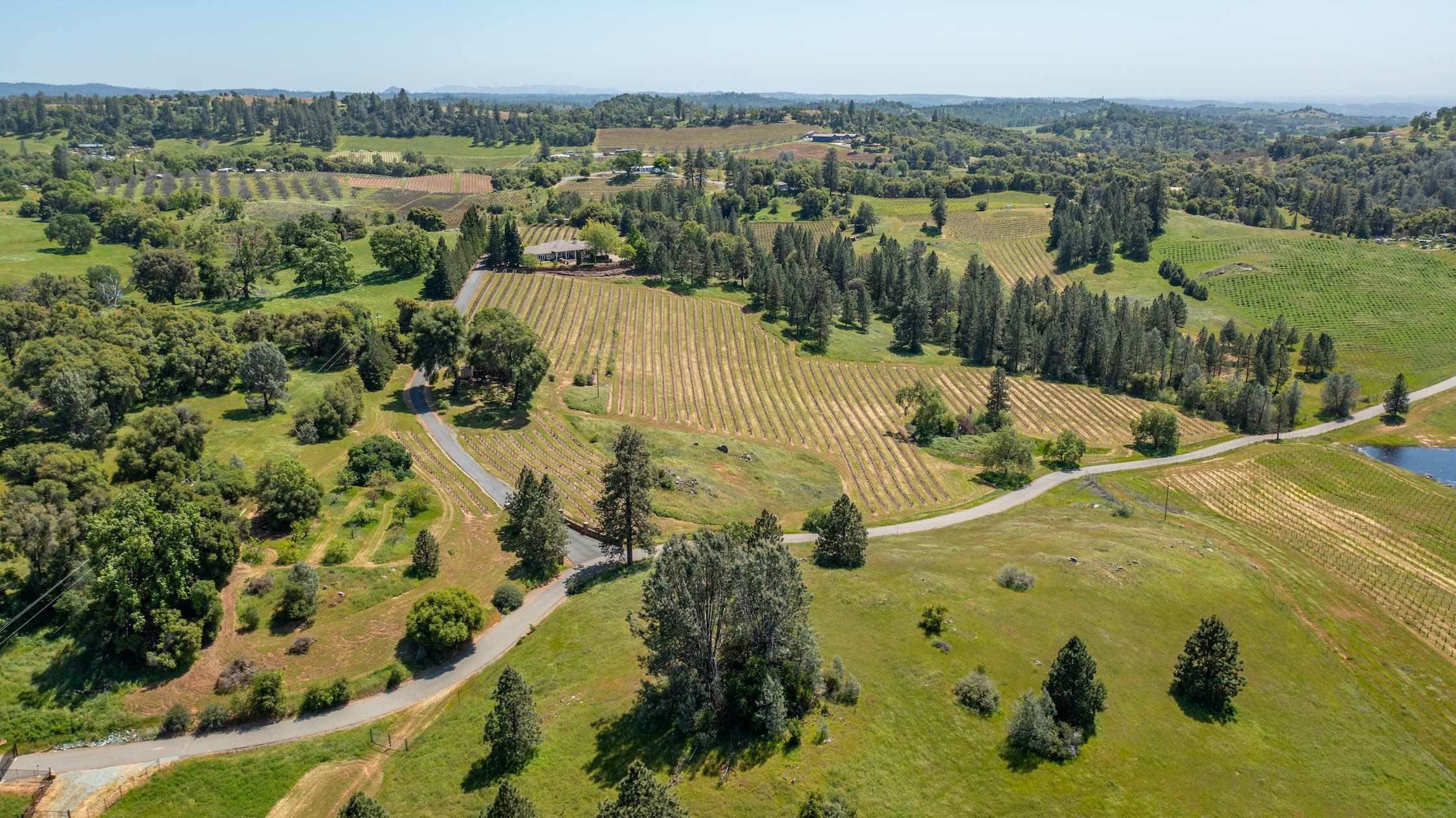 Listing Image 84