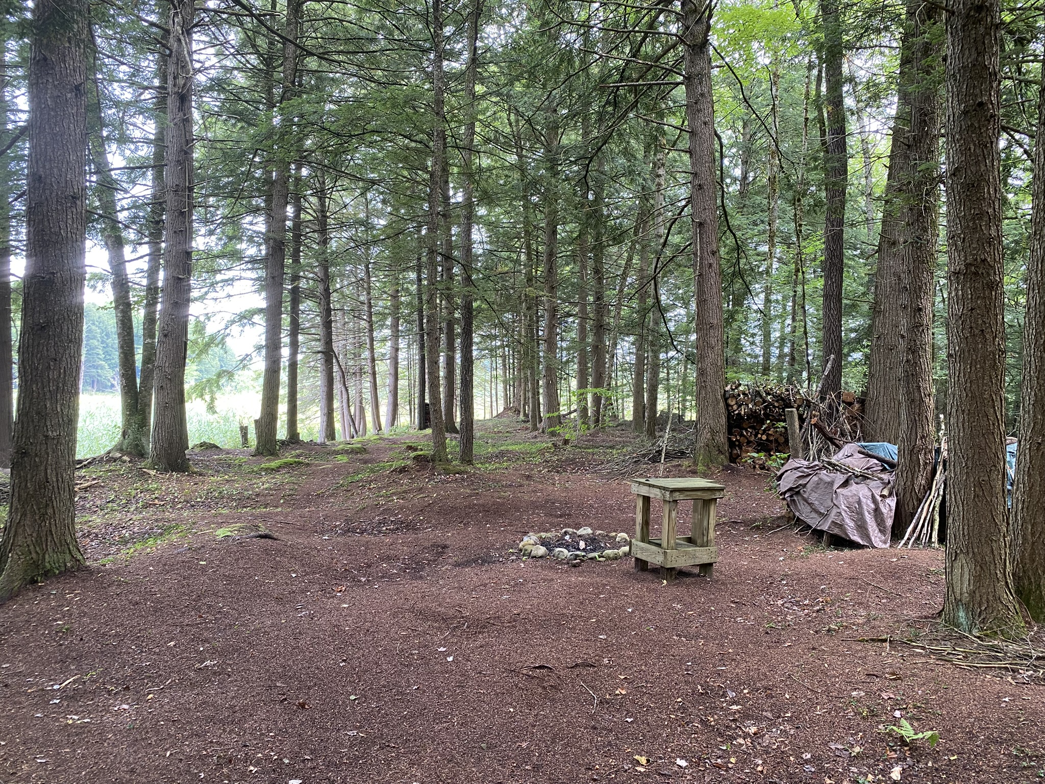 Cabin on the Little River