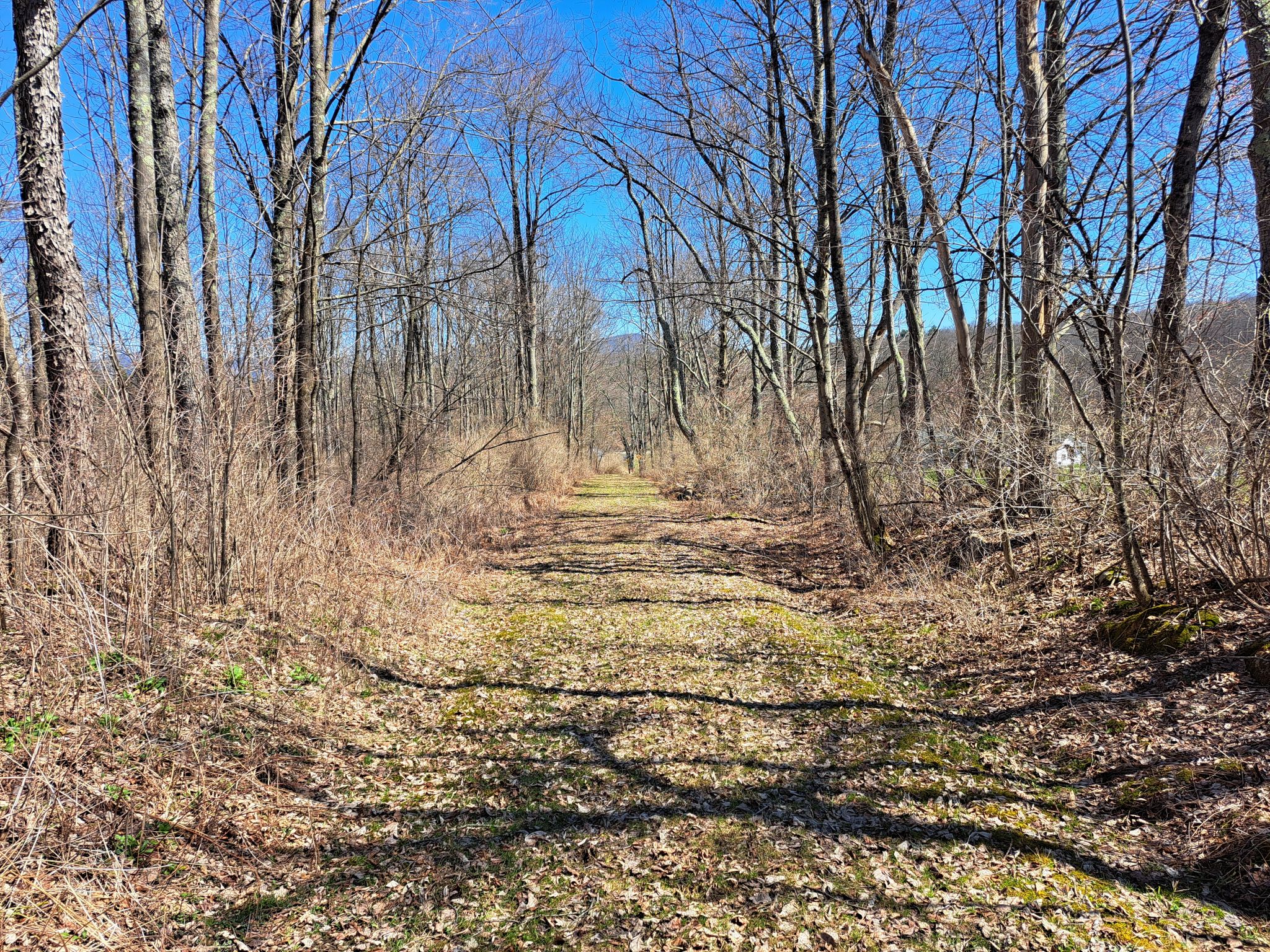 Listing Image 58