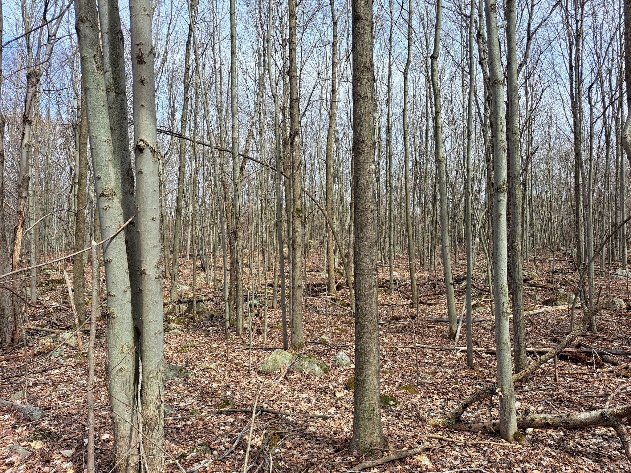 Listing Image 29