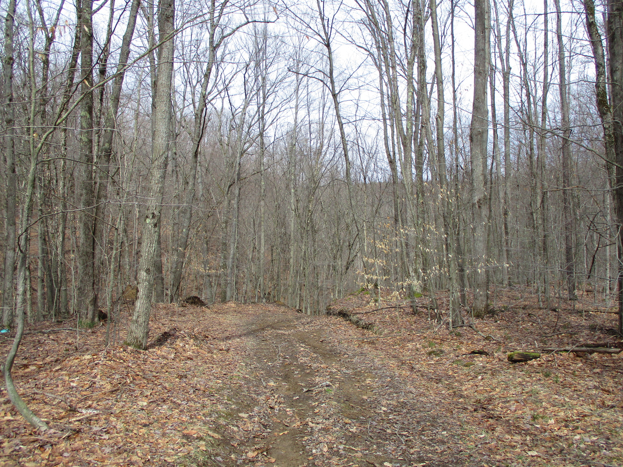 Listing Image 42