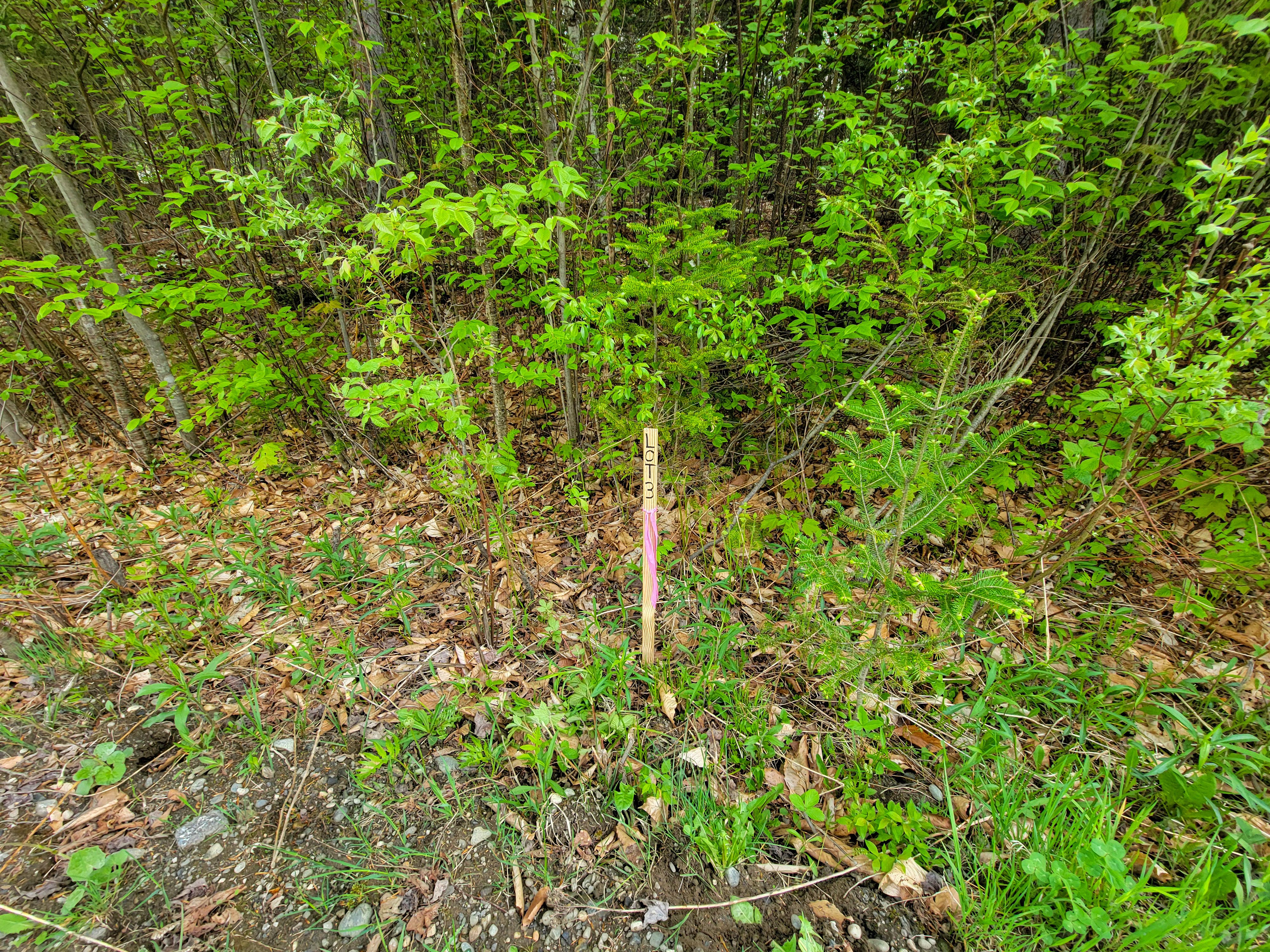 Listing Image 32
