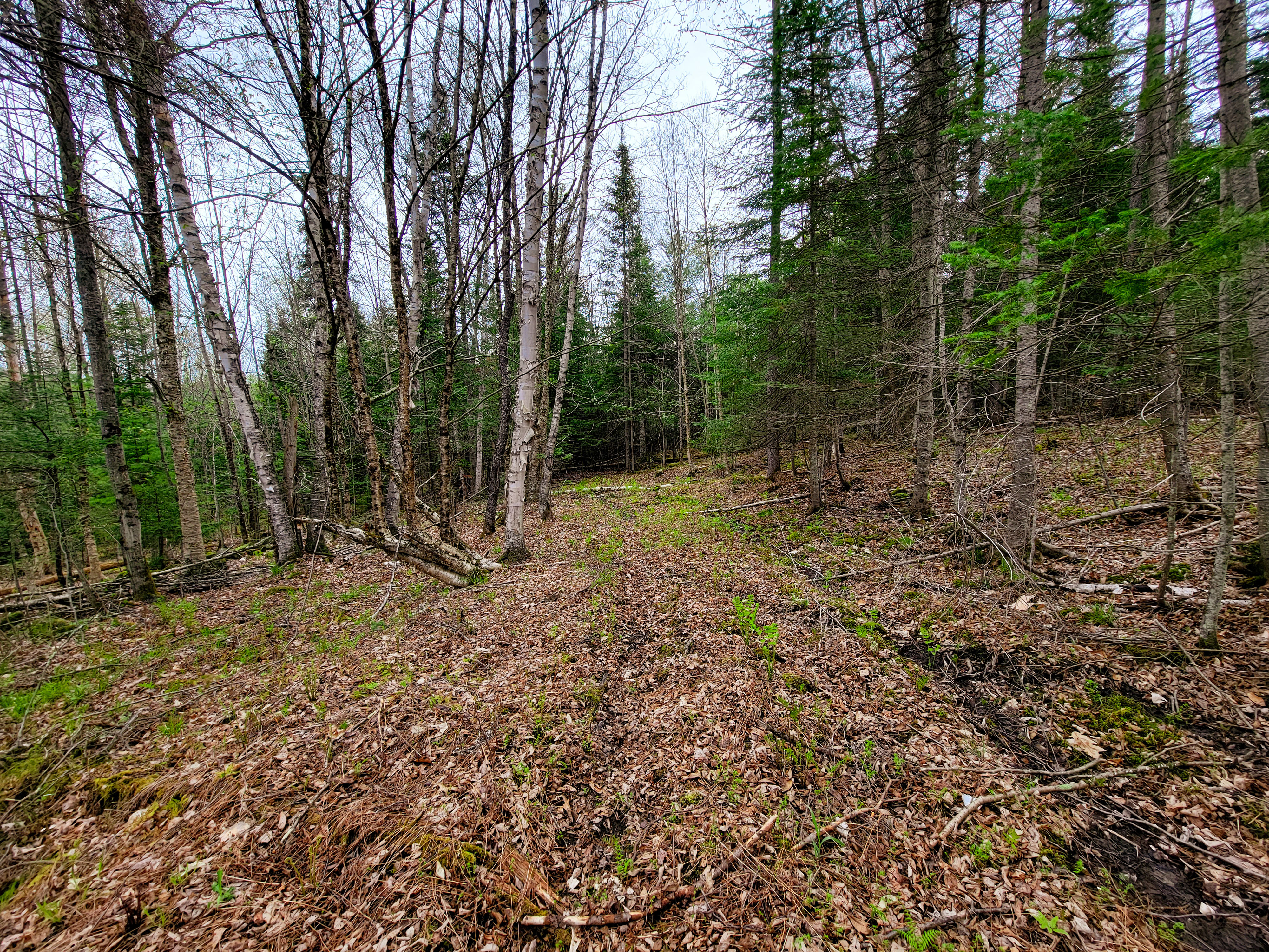 855 Campbell Rd - Waterford