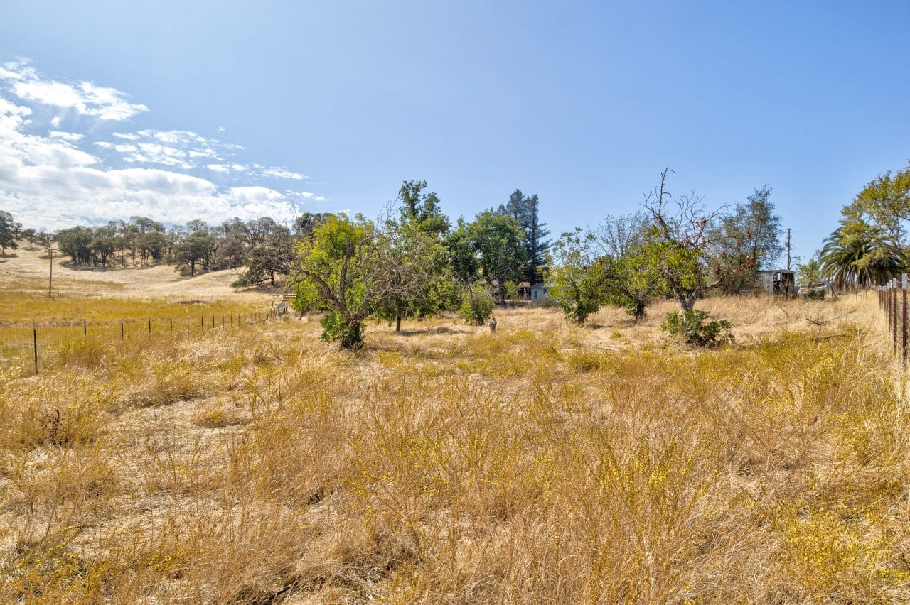 Listing Image 90