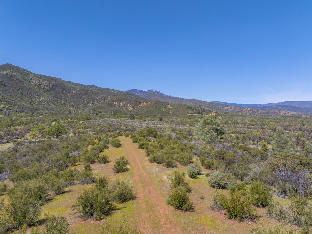 Listing Image 83