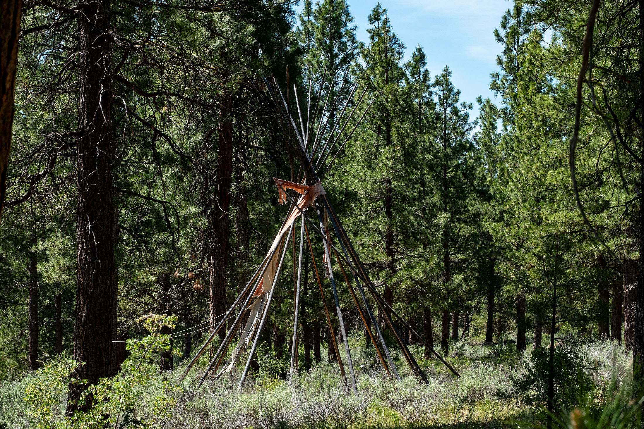 Klamath Marsh Retreat