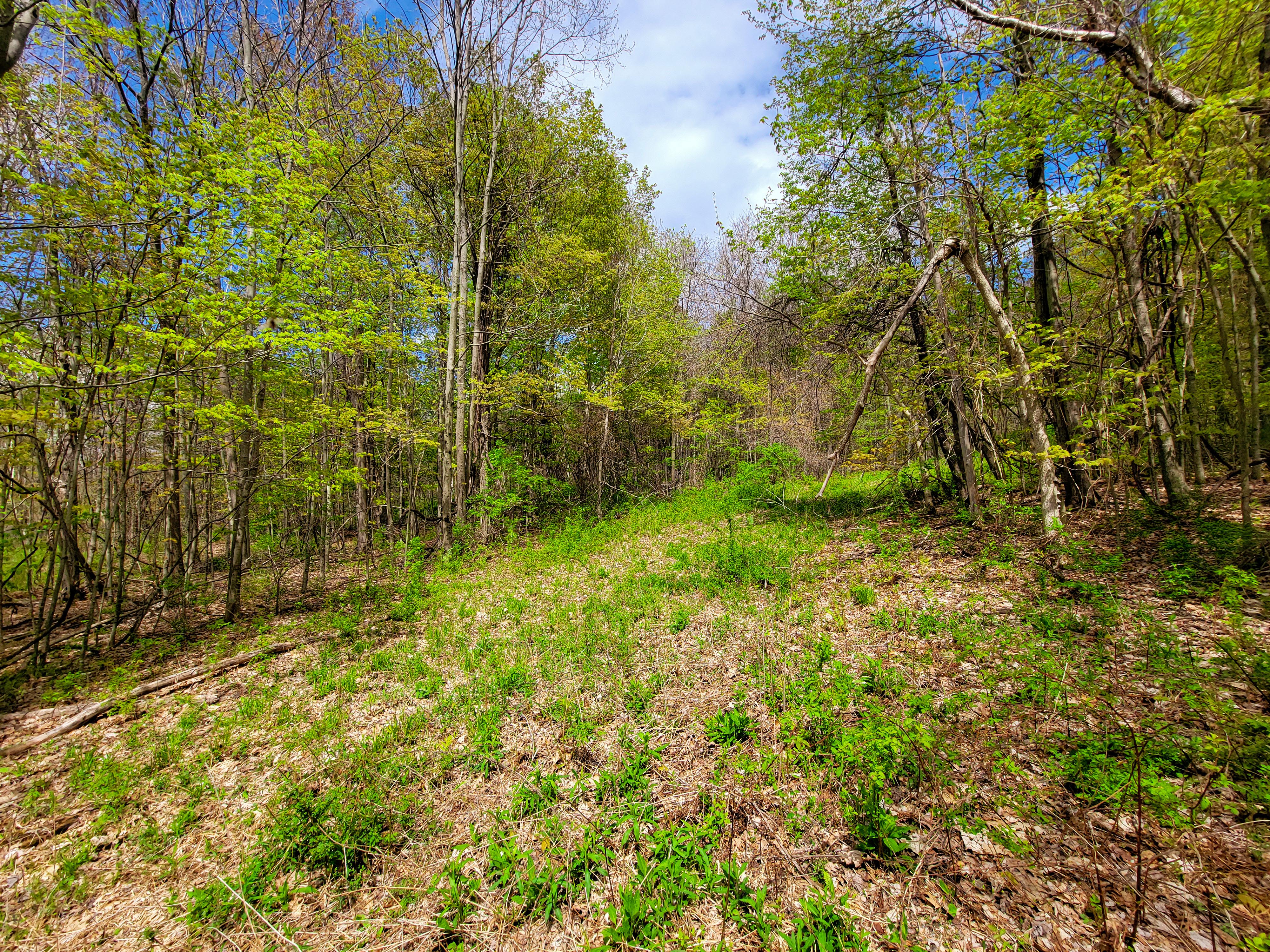 Listing Image 45
