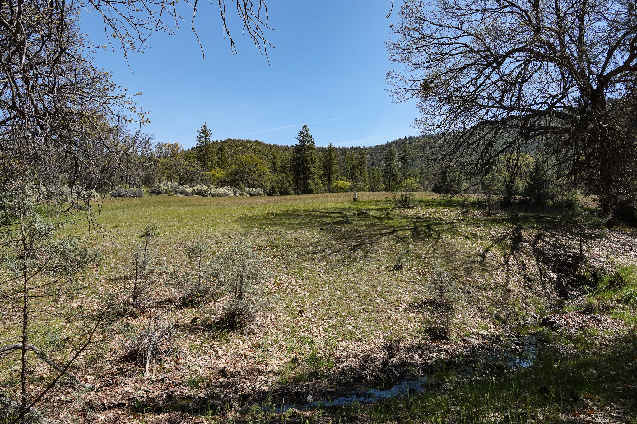 Scarface Acreage