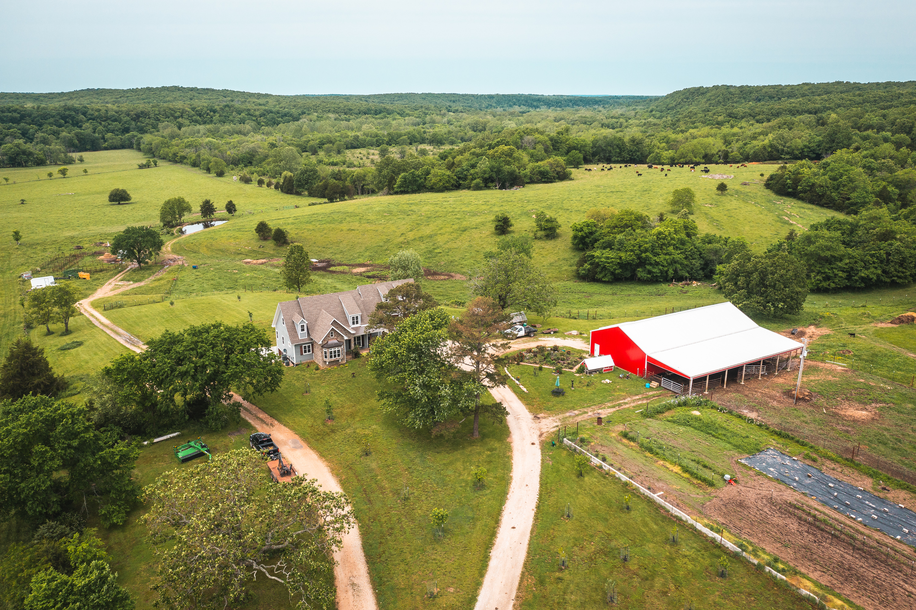Gasconade Angus Ranch