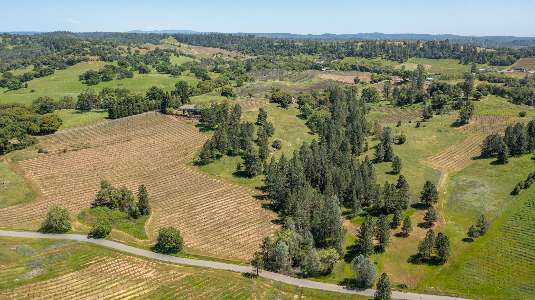 Listing Image 87