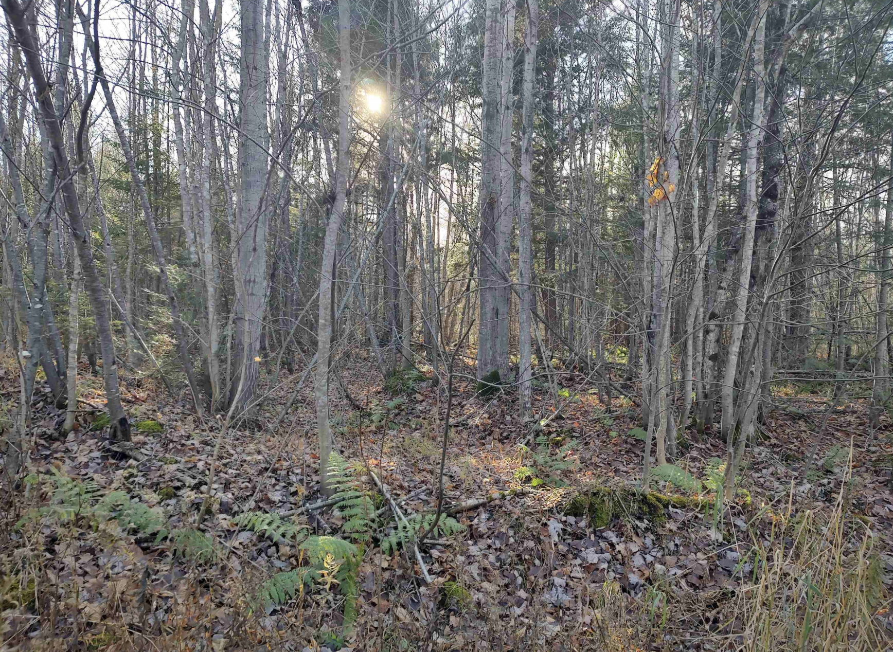 Northwoods Recreation Haven 50184509