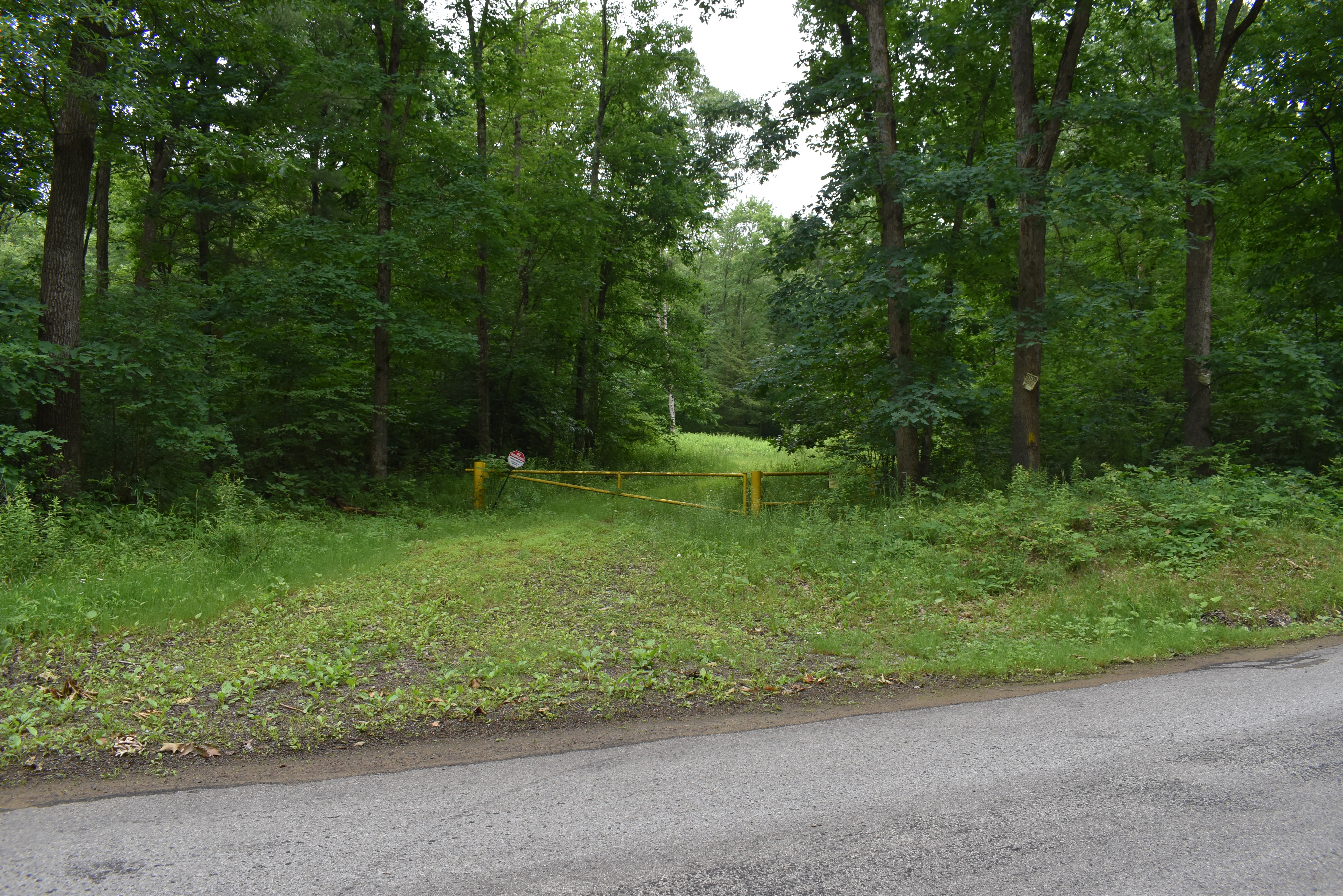 Listing Image 22