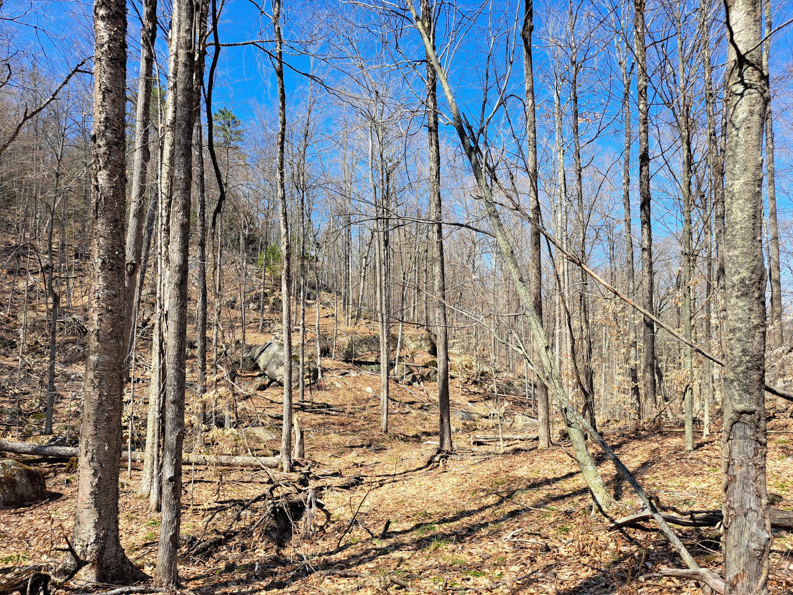 Listing Image 55