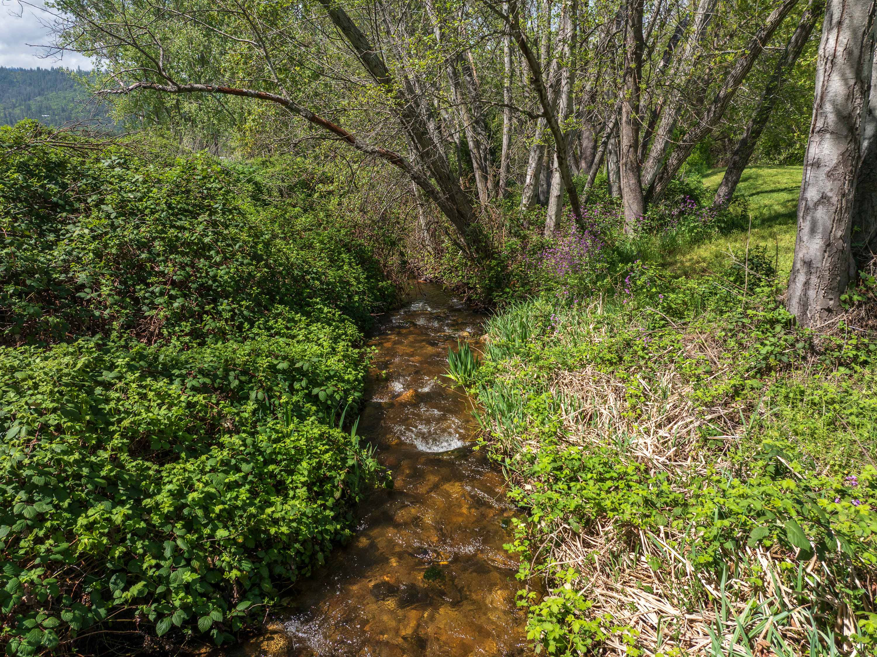 Listing Image 56
