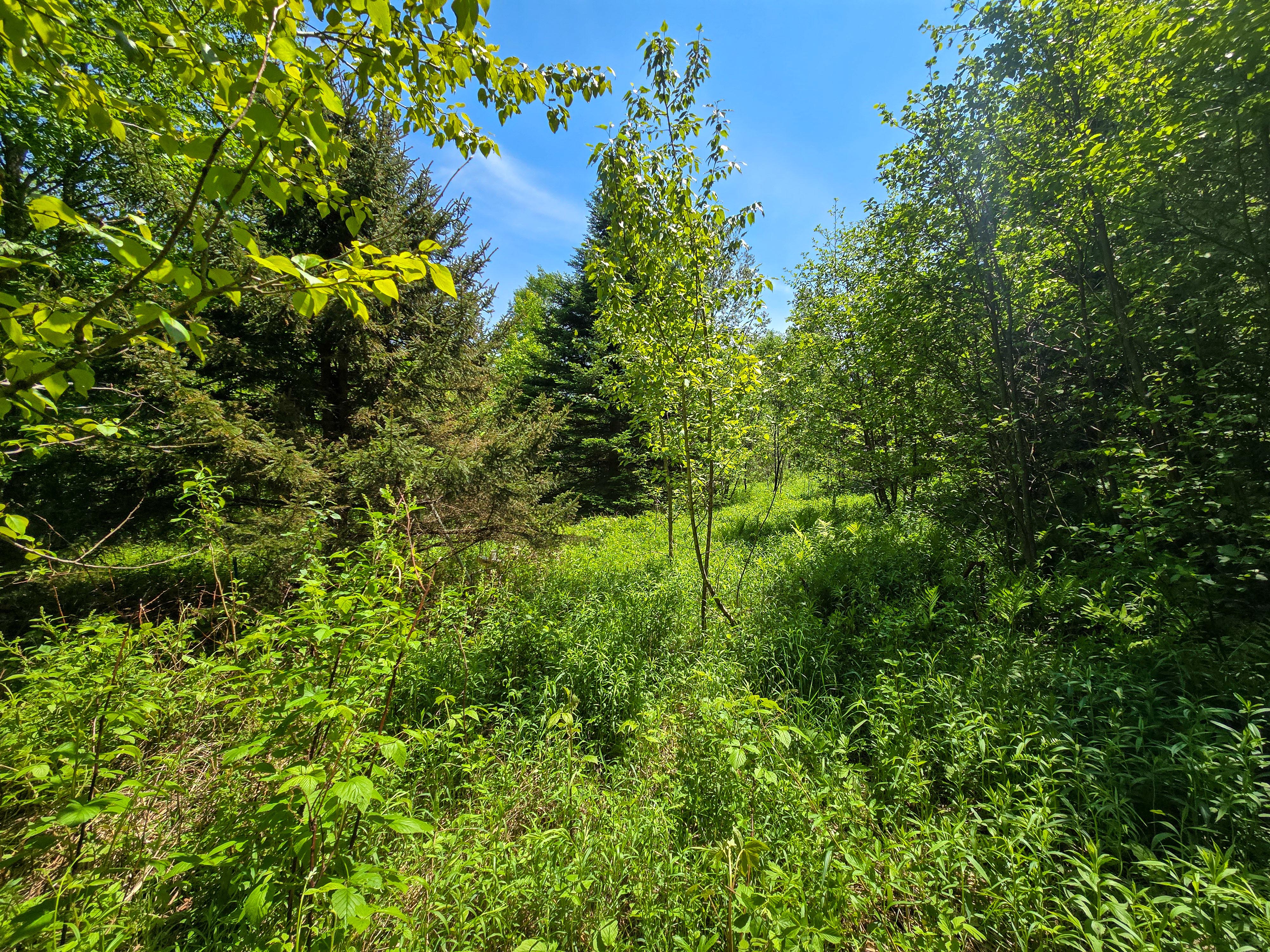 150 Spur Rd - Bloomfield