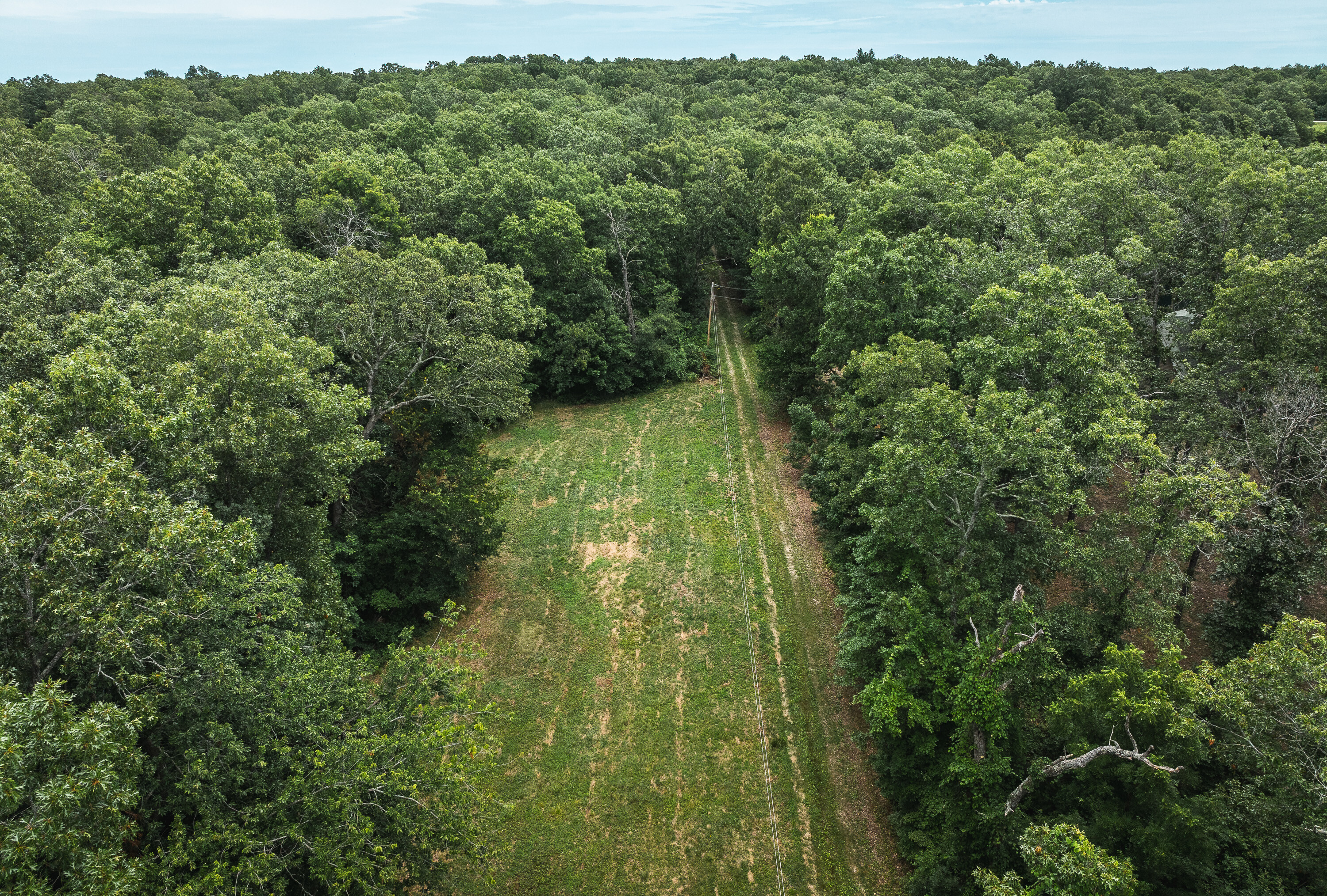 Phelps County Land & Timber 2 Tracts