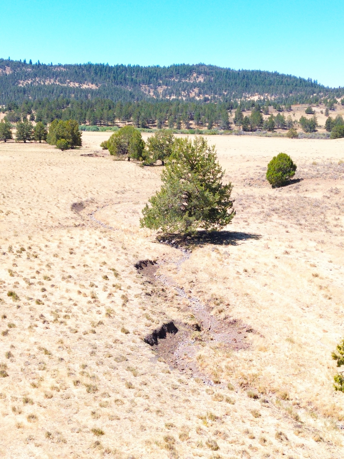 Crane Ranch