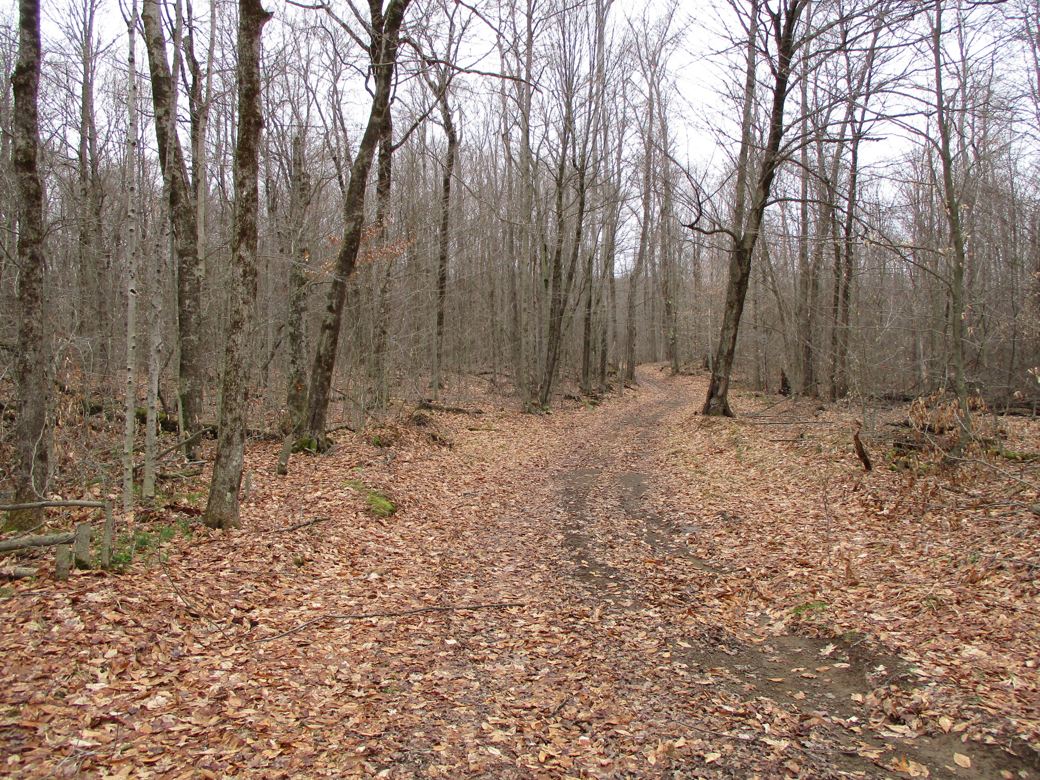 Listing Image 38