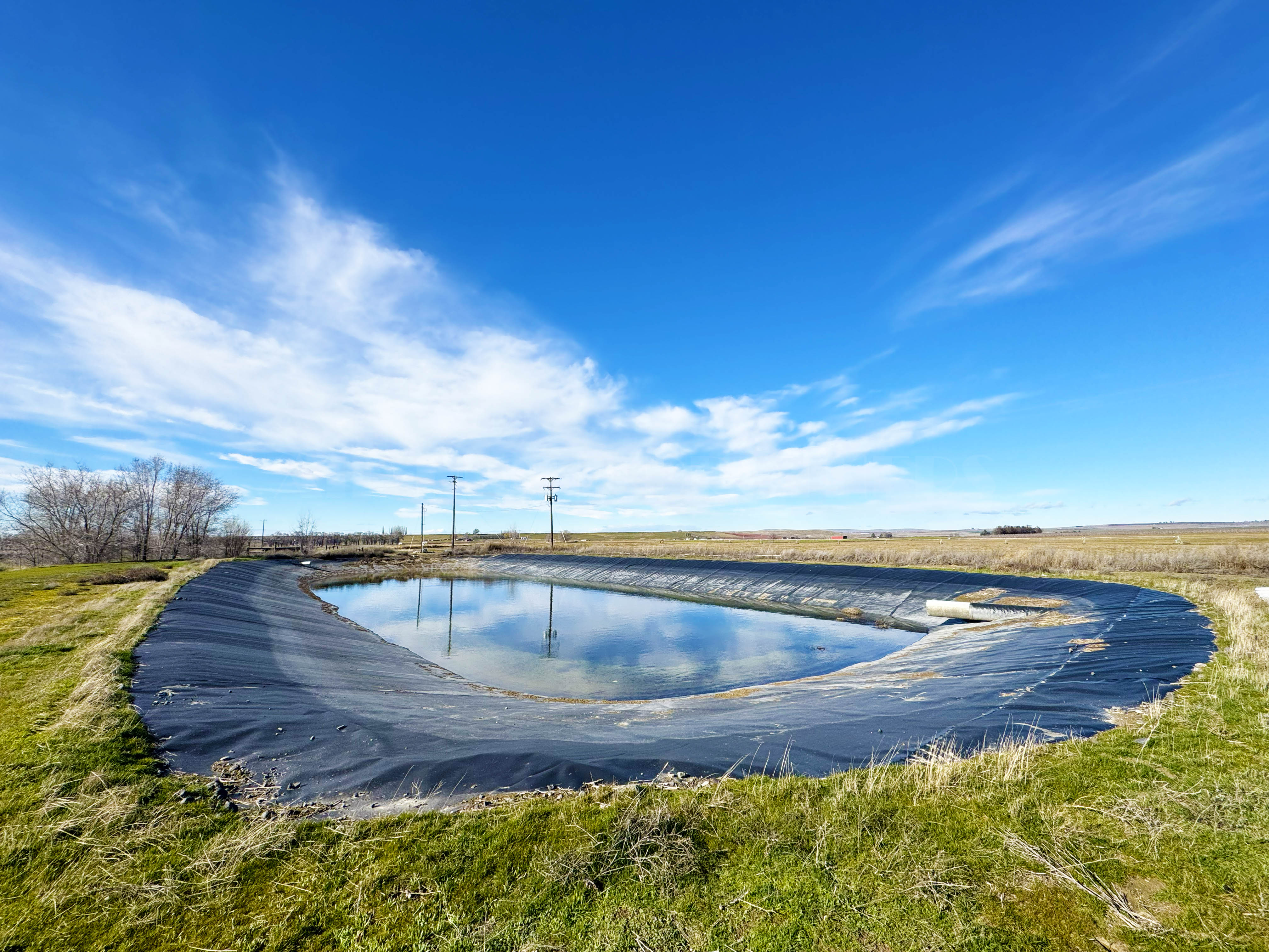 Fern Road Irrigated farm