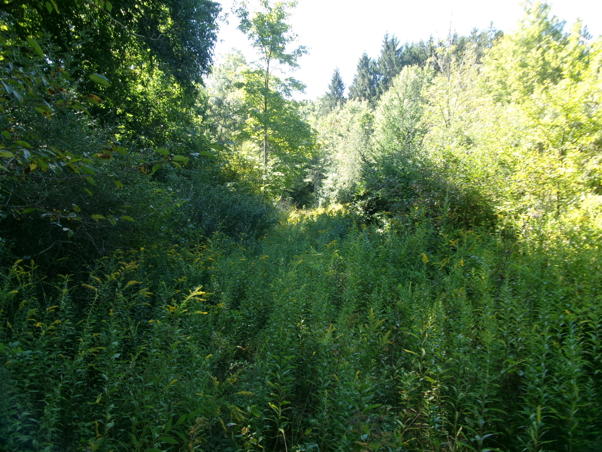 Listing Image 27
