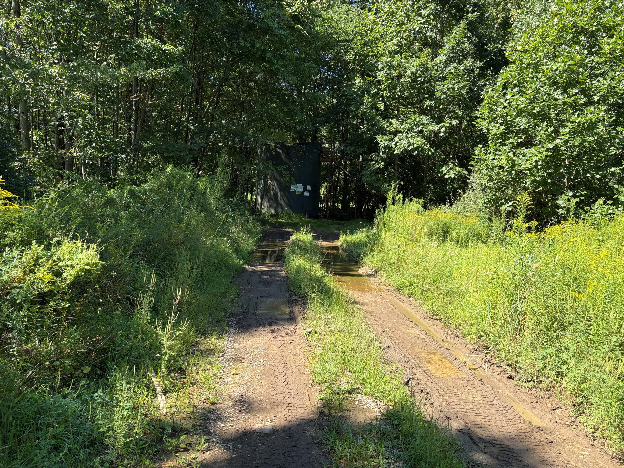 Listing Image 22