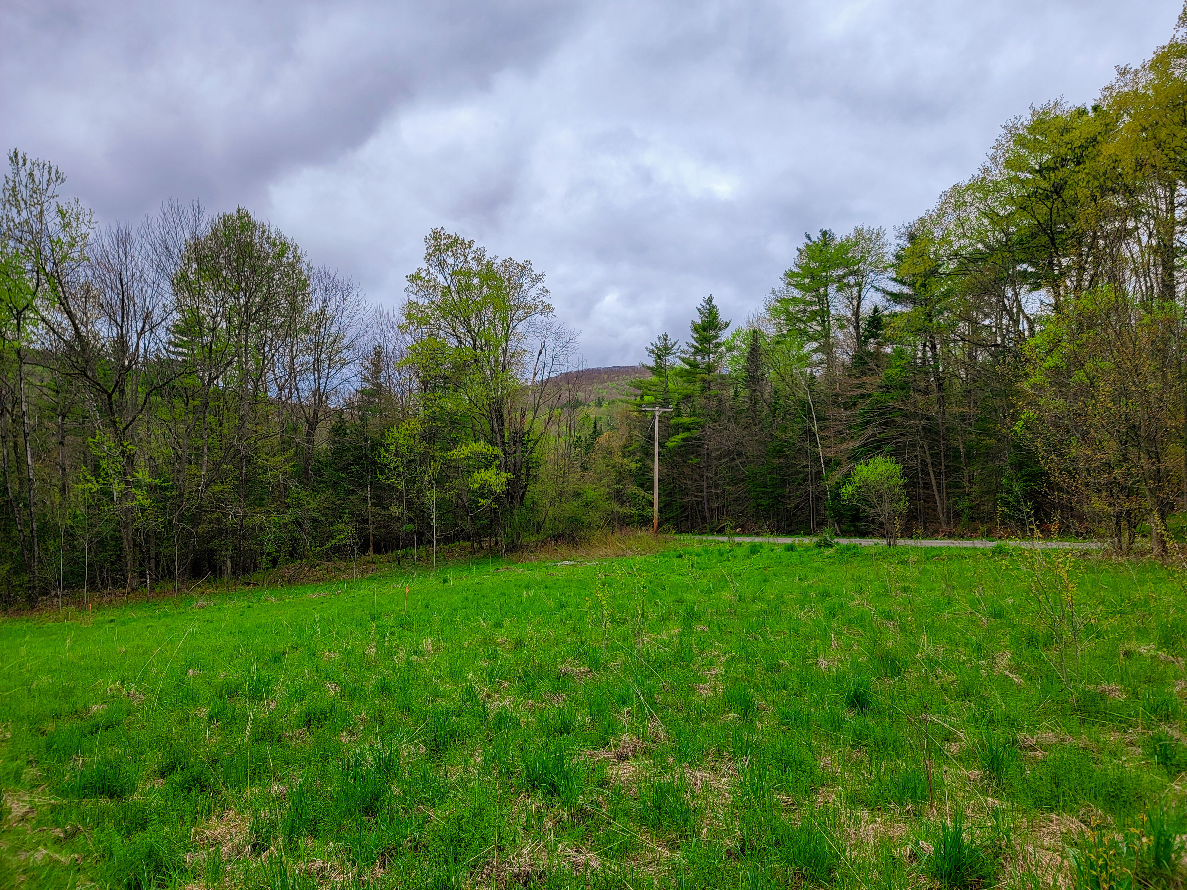 855 Campbell Rd - Waterford