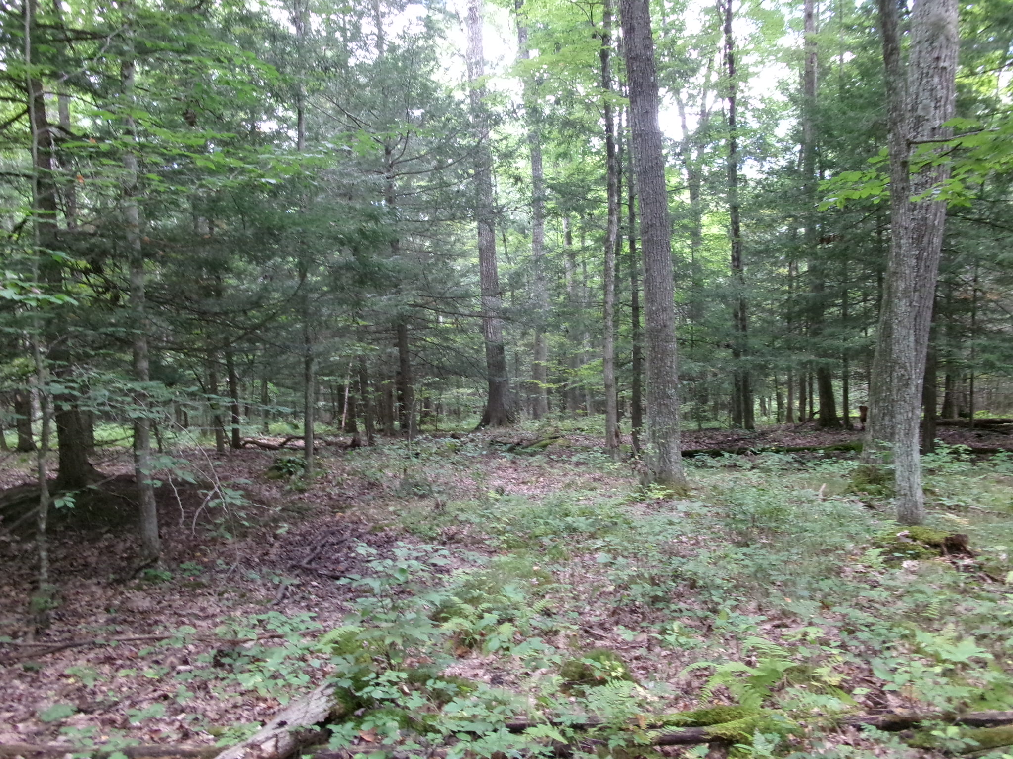 Listing Image 33