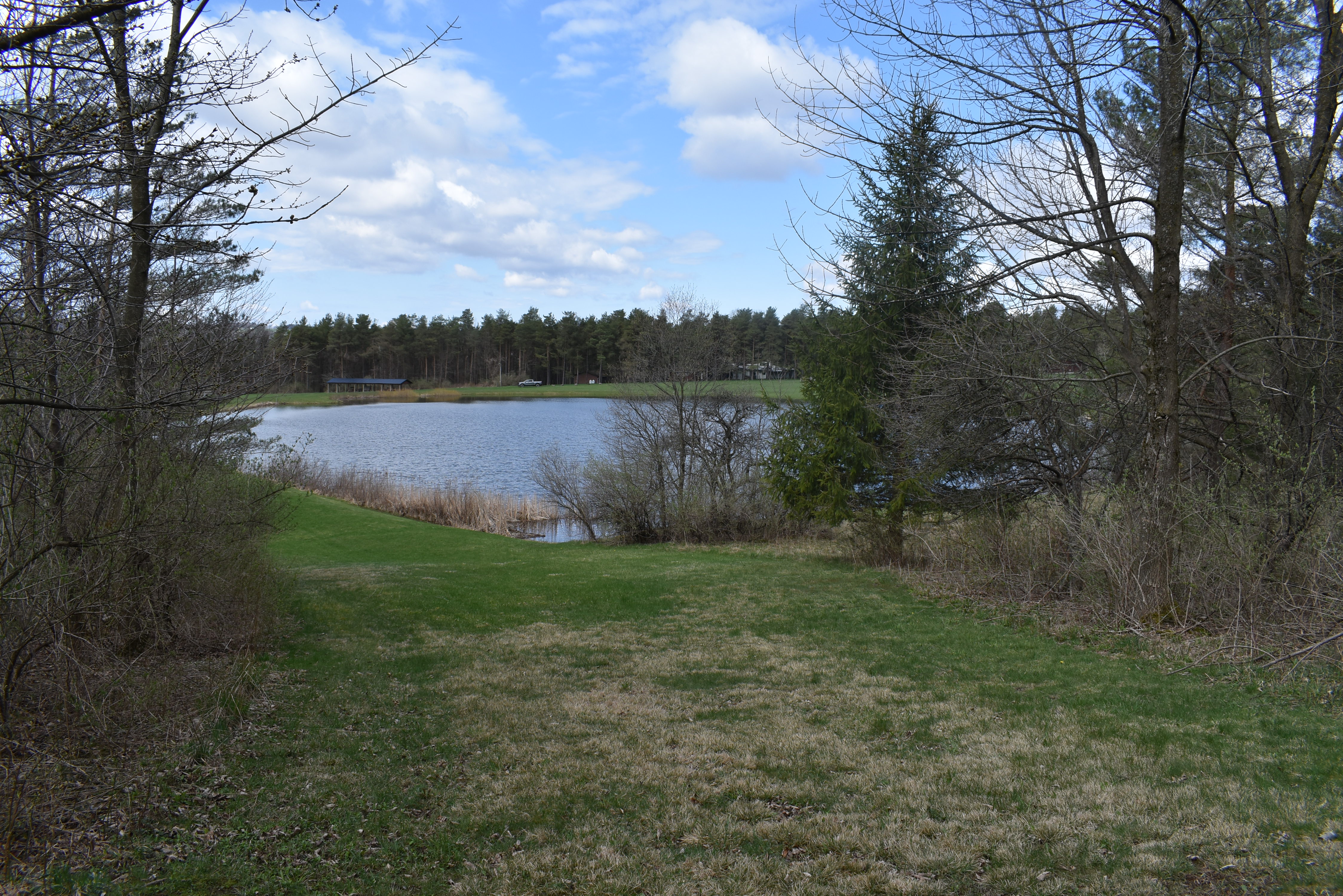 Listing Image 89