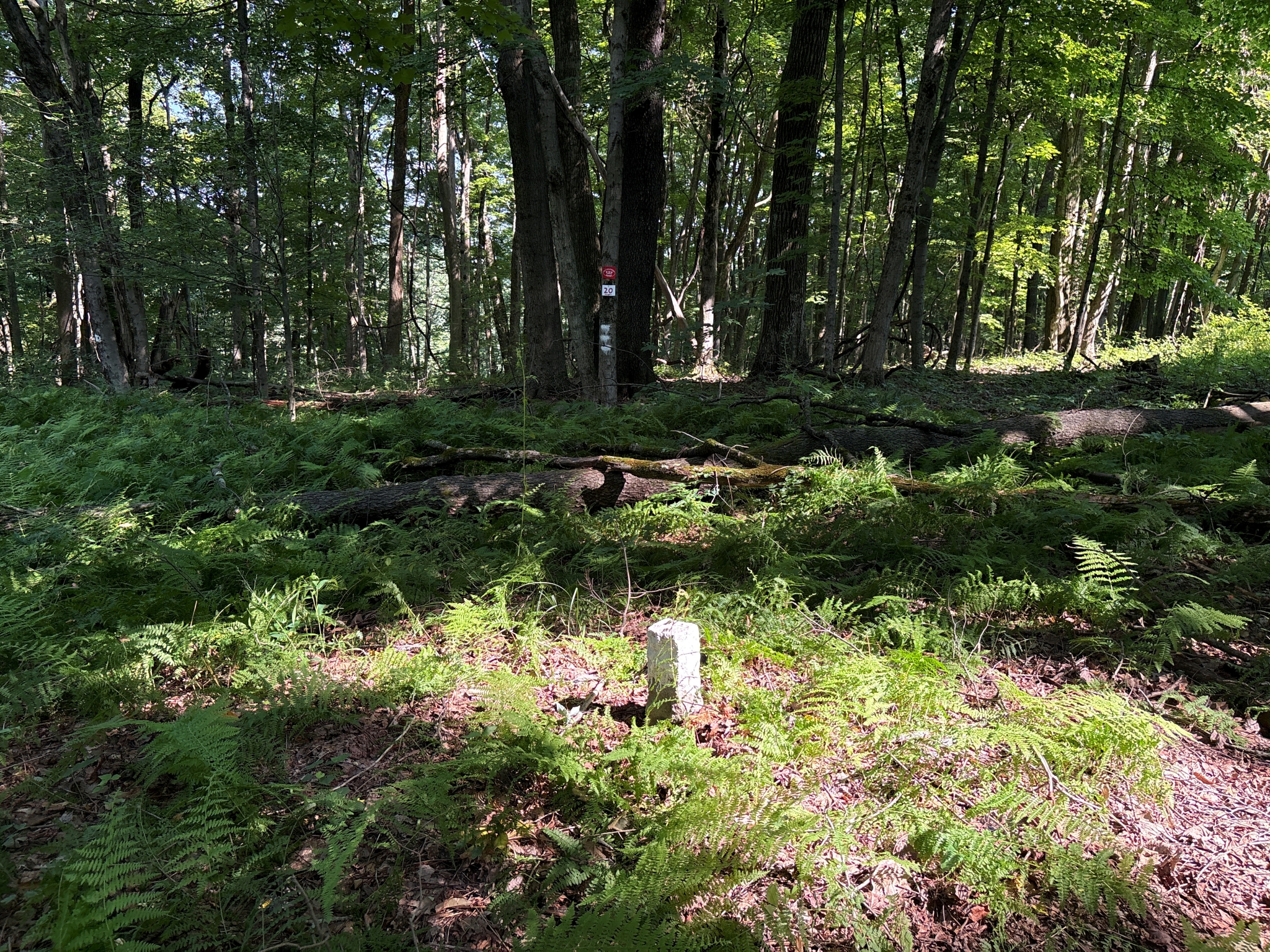 Listing Image 17