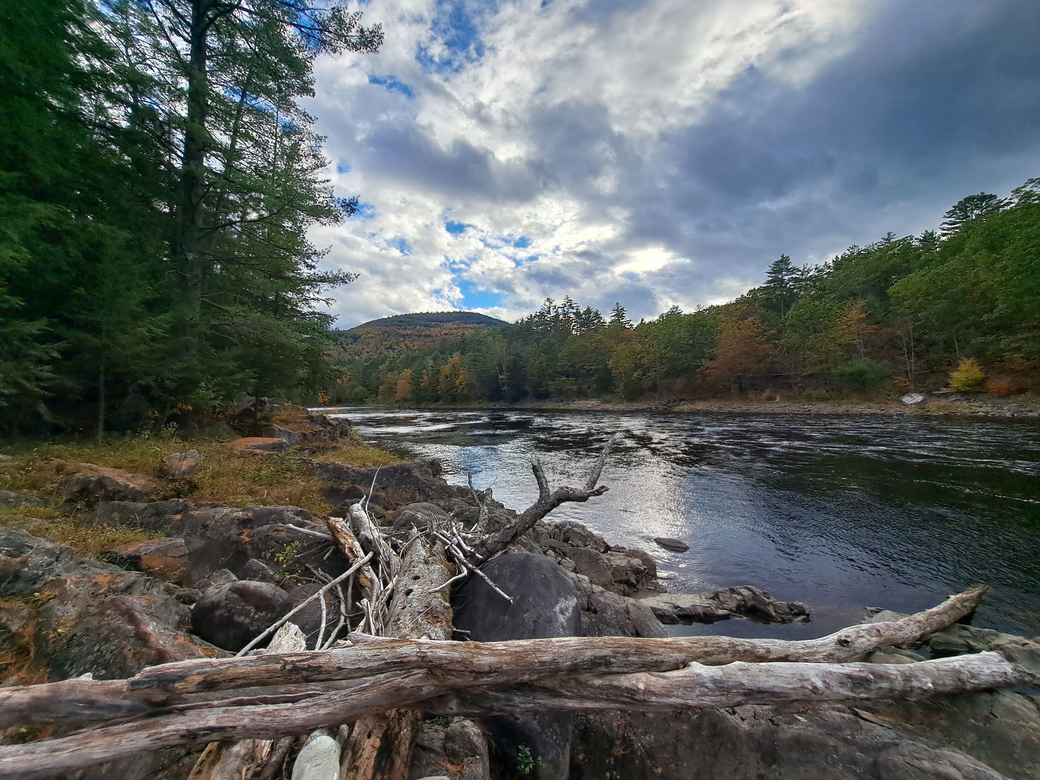 Hudson River Woods & Water