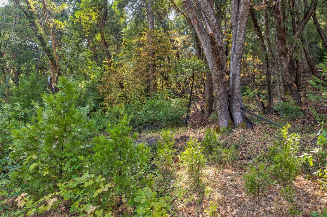Listing Image 33