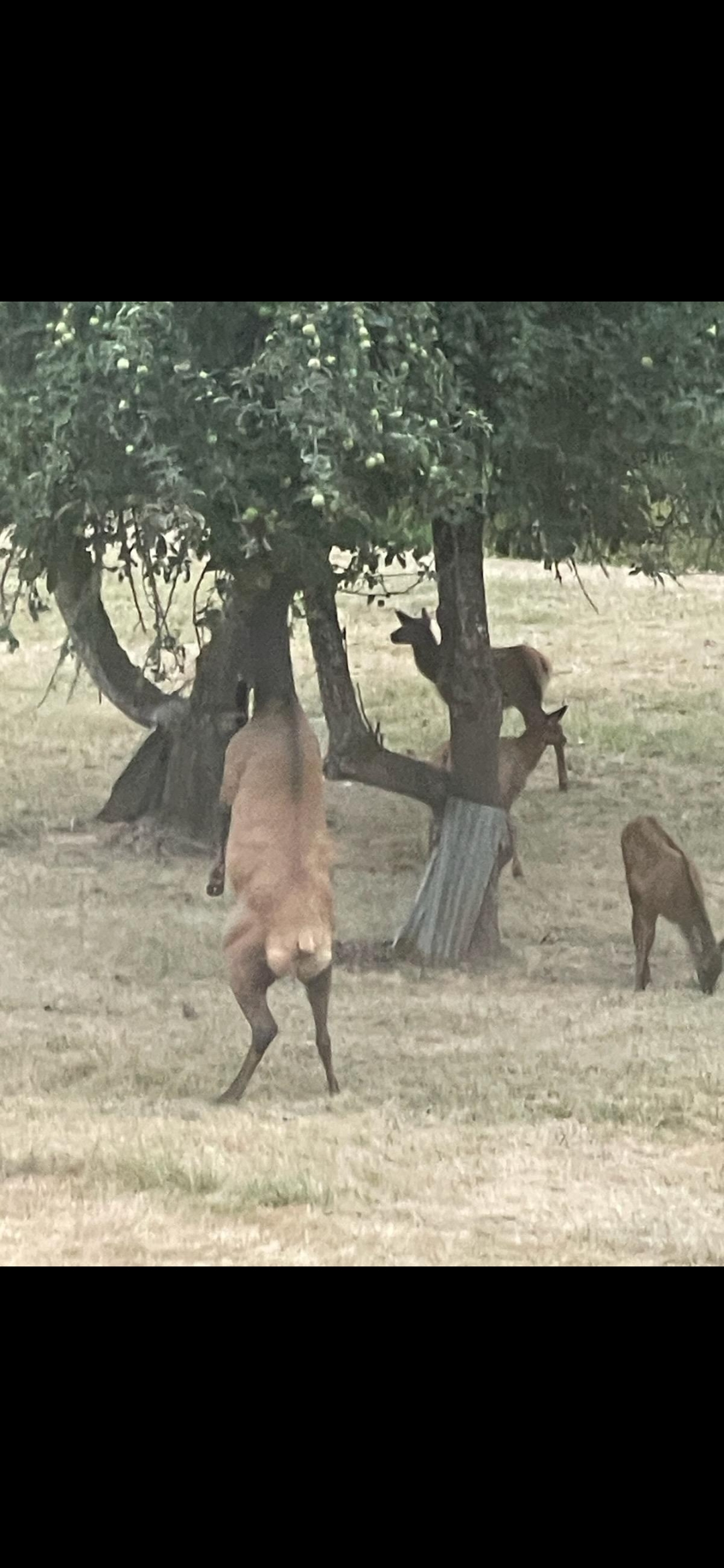 Kielblock Ranch
