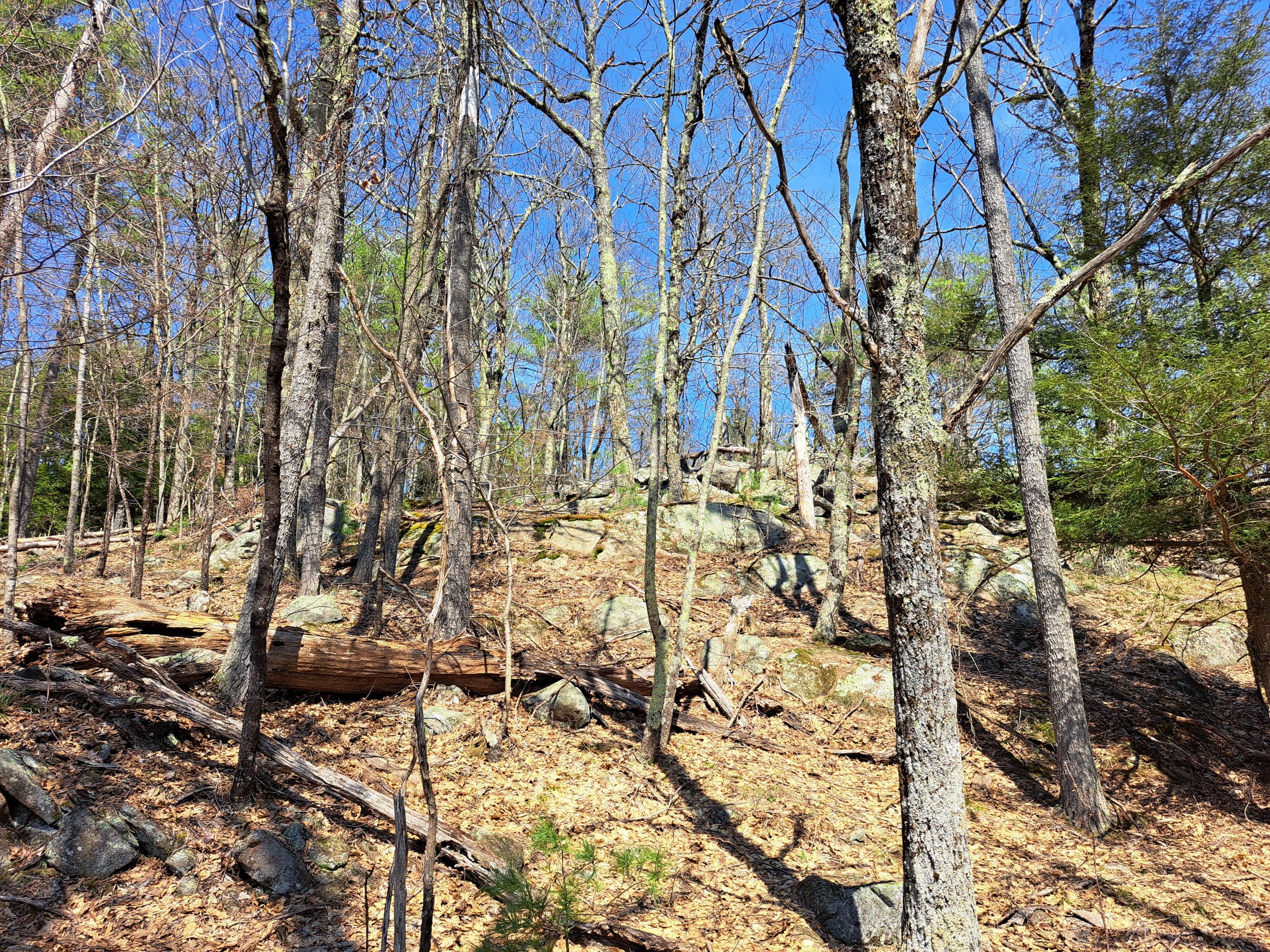 Listing Image 47
